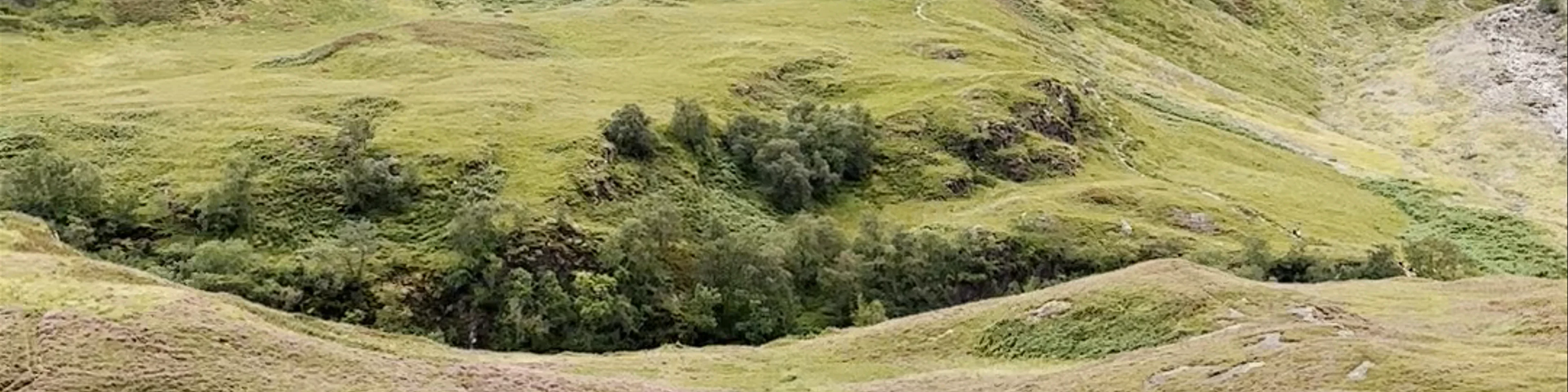 Loch Tulla Viewpoint