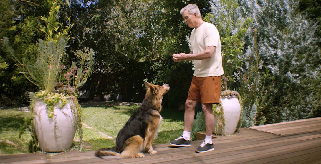 An older man bends down to pet his dog in his sunlit backyard.