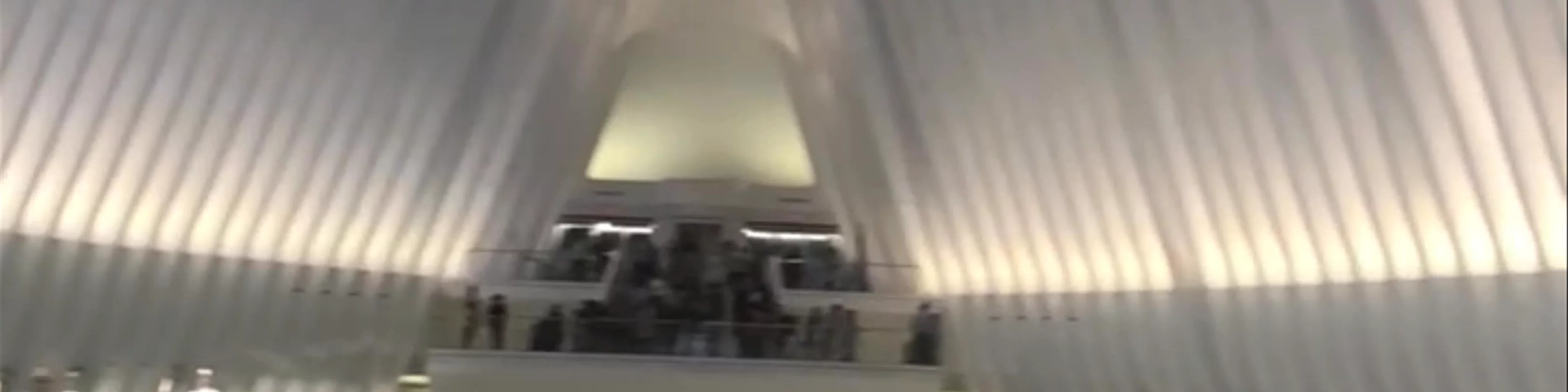 The Oculus