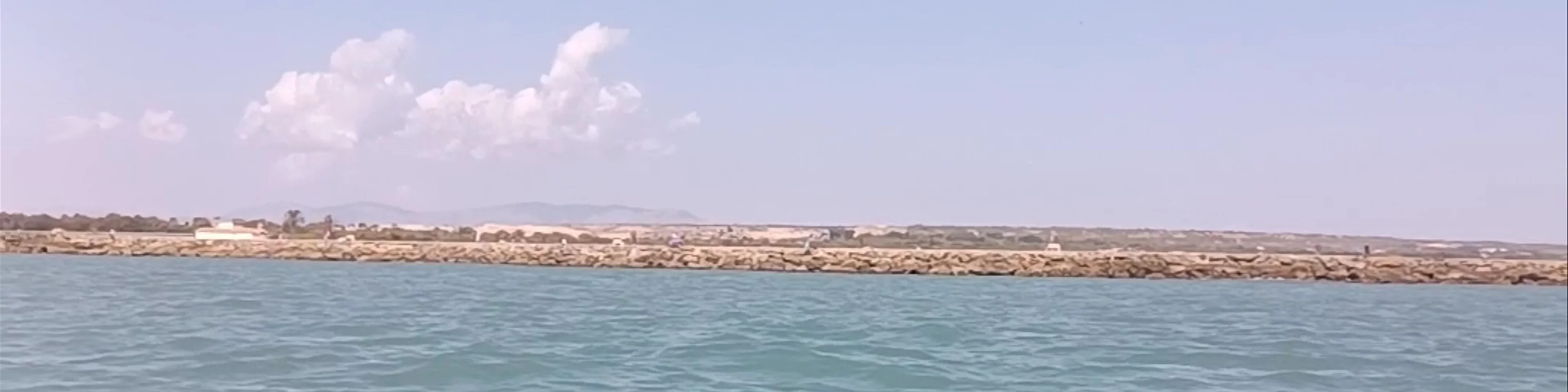 Playa Los Viveros