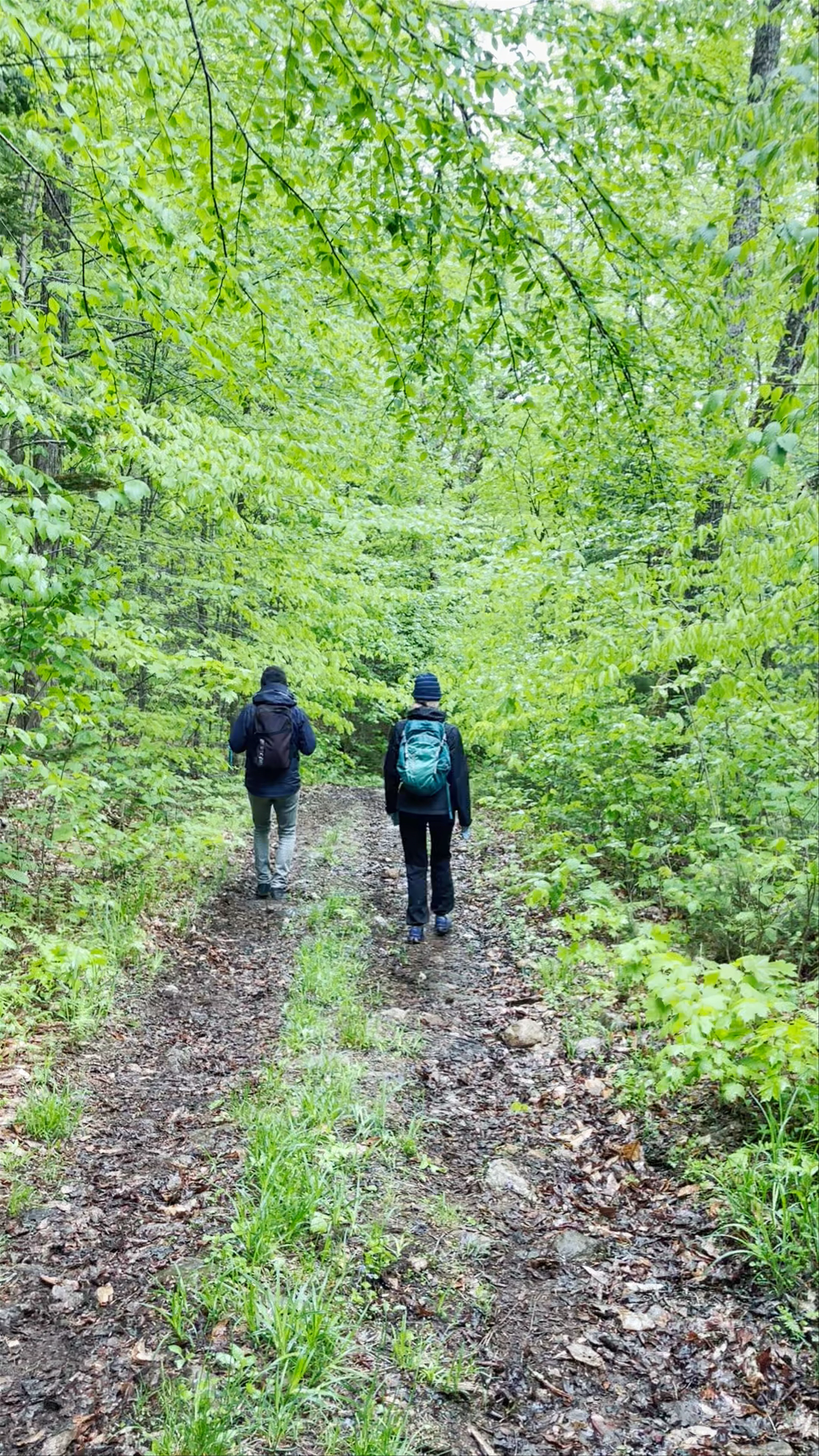Sentiers La Ouache & Le Malard, Parc du Mont Tremblant