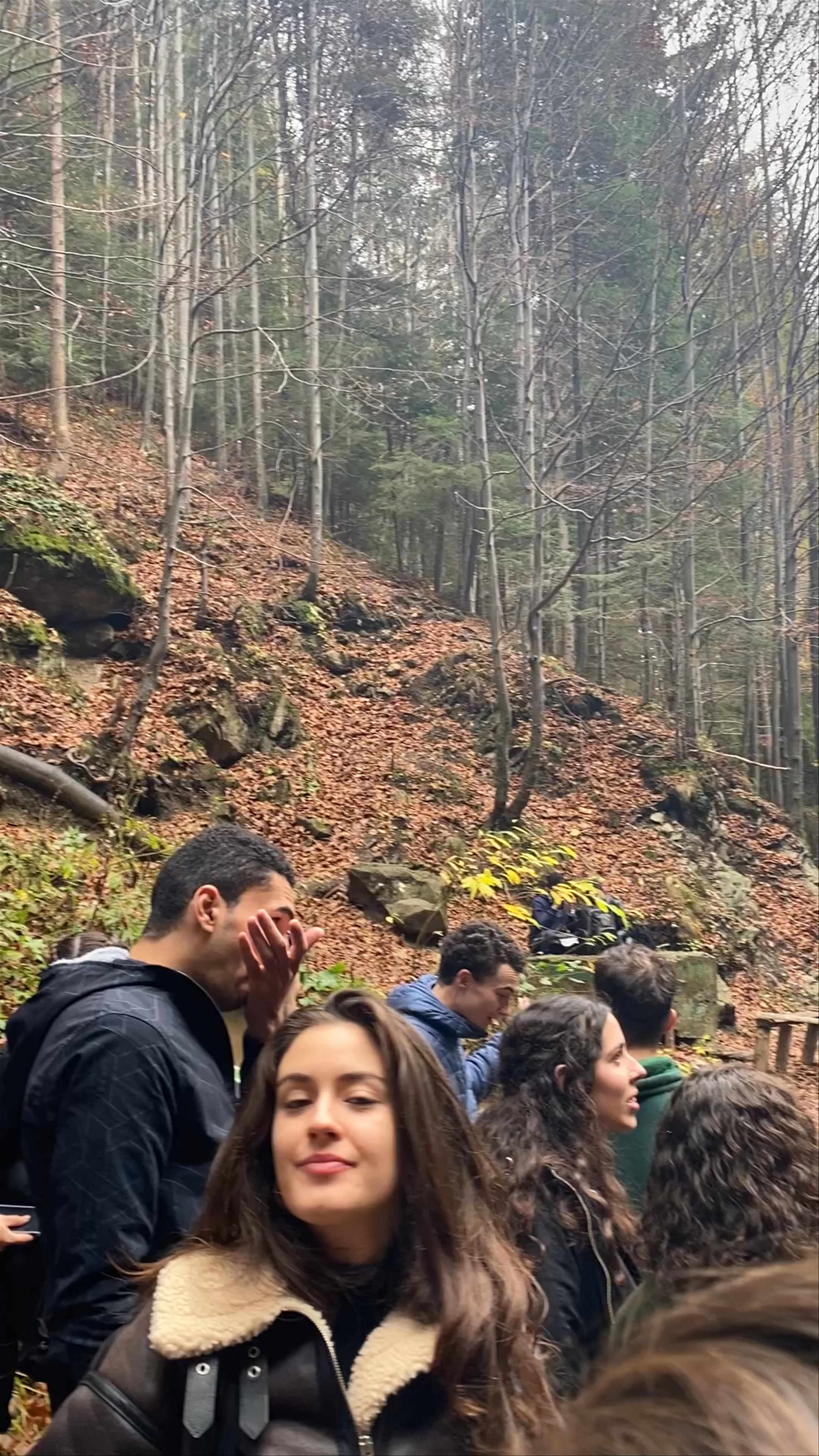 Parcul Natural "Bucegi"