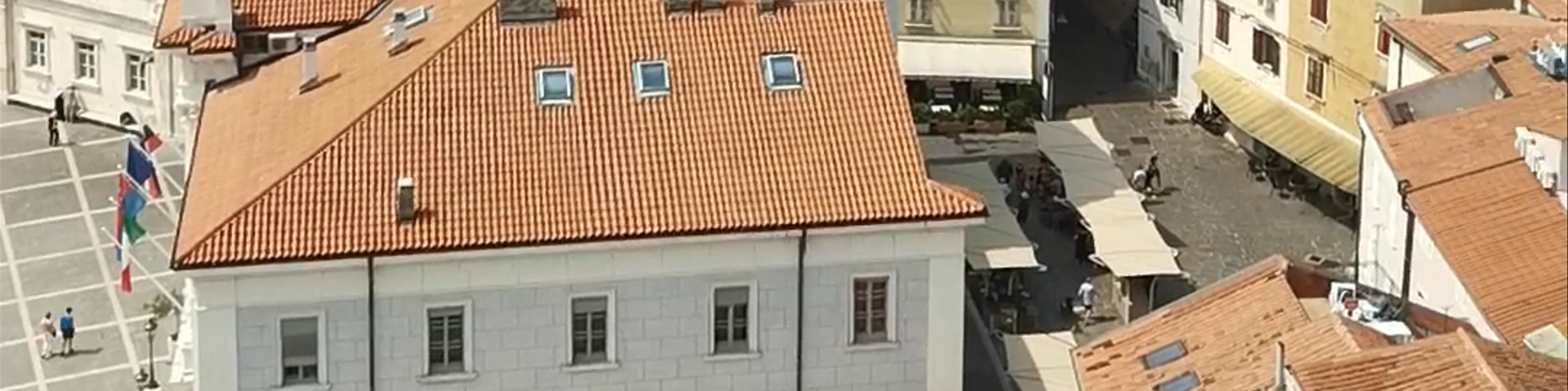 Obalno-kraška