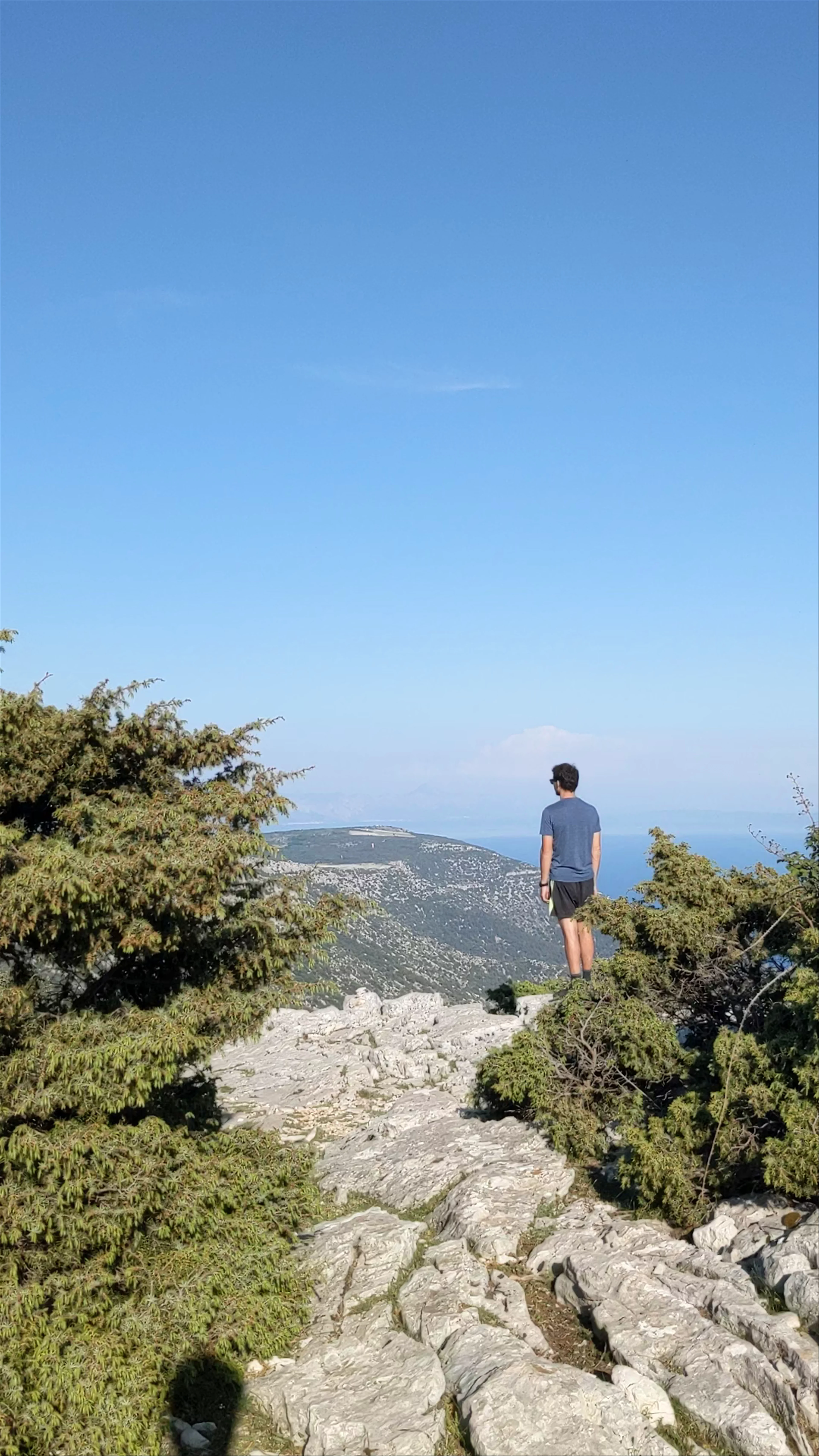 Vidova Gora
