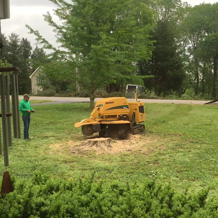 JB Tree Service - Awesome work! - Tree Services Near Me - La Vergne, Tennessee