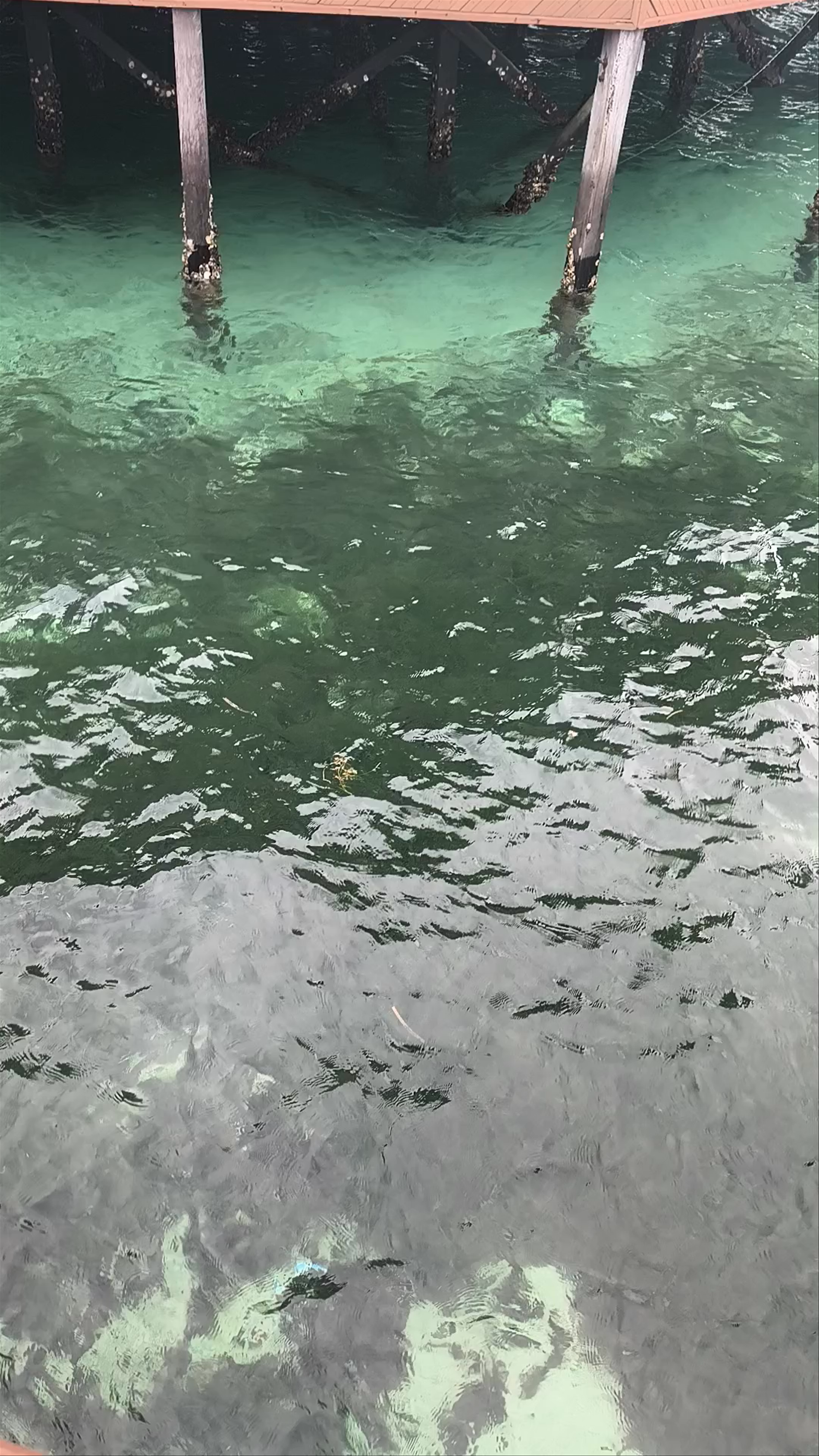 Sipadan Water Village: A Serene Overwater Escape in Sabah, Malaysia