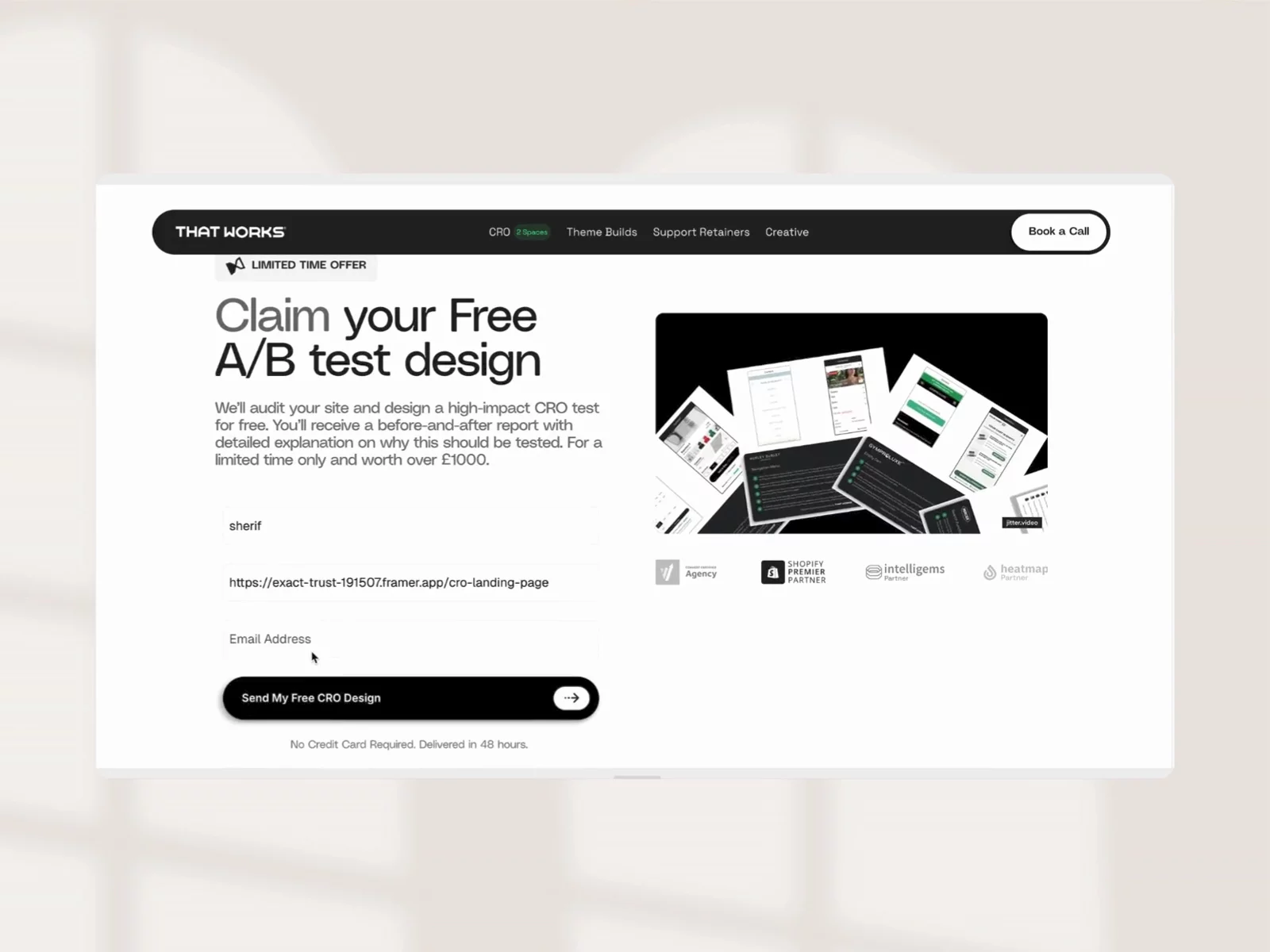 ThatWorks CRO