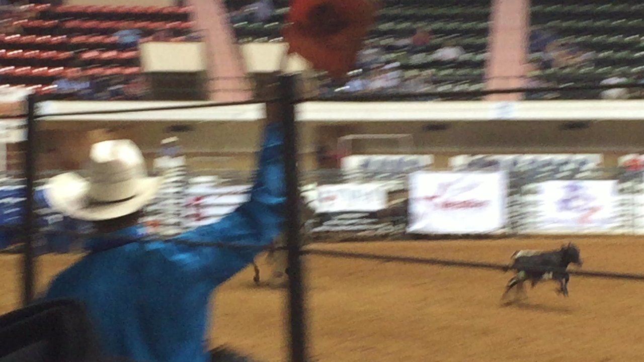 Will Rogers Coliseum - Runnnnnmmm! - Stadiums & Arenas Near Me - Fort Worth, Texas