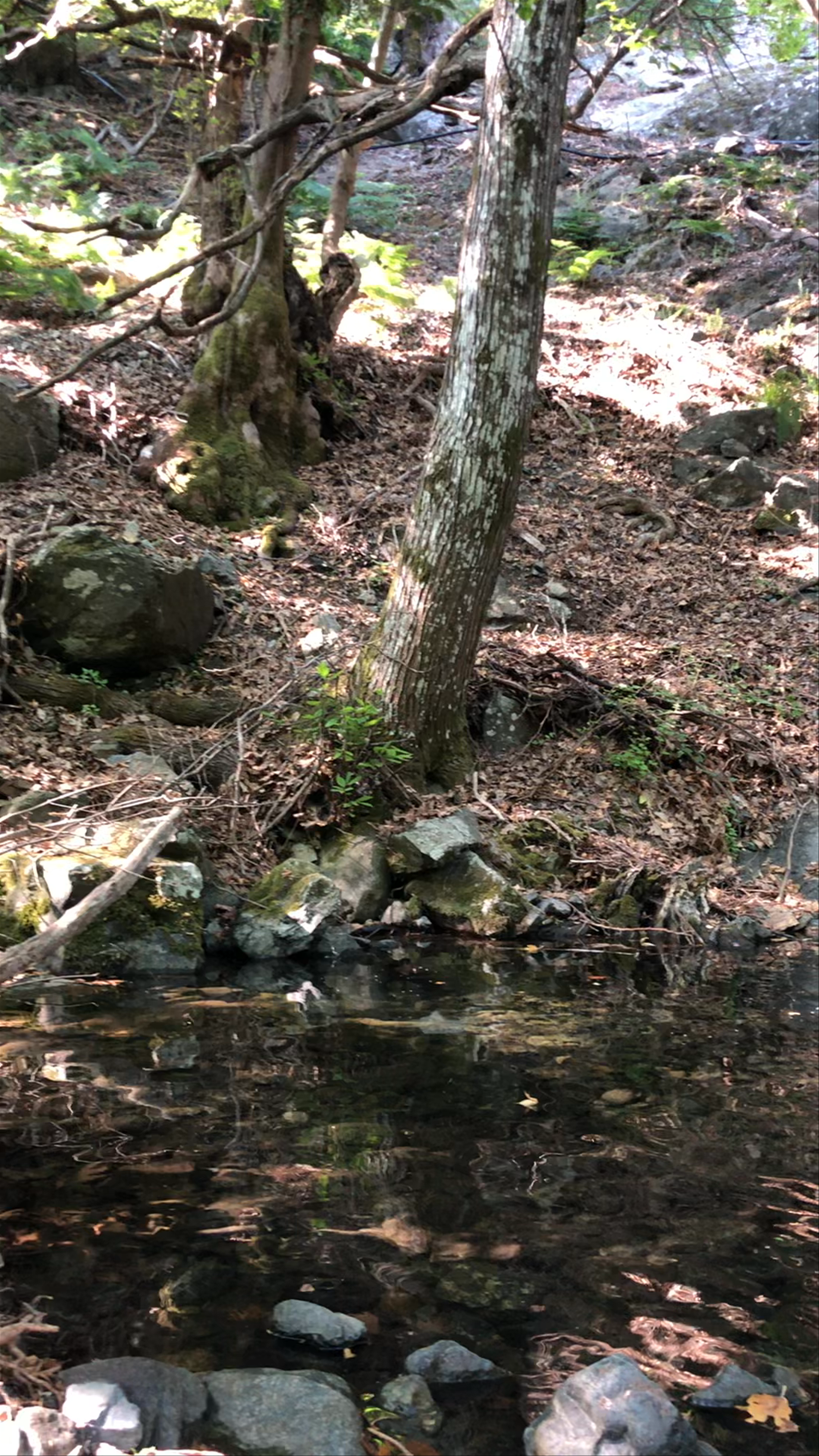 Βάθρα της Γριάς