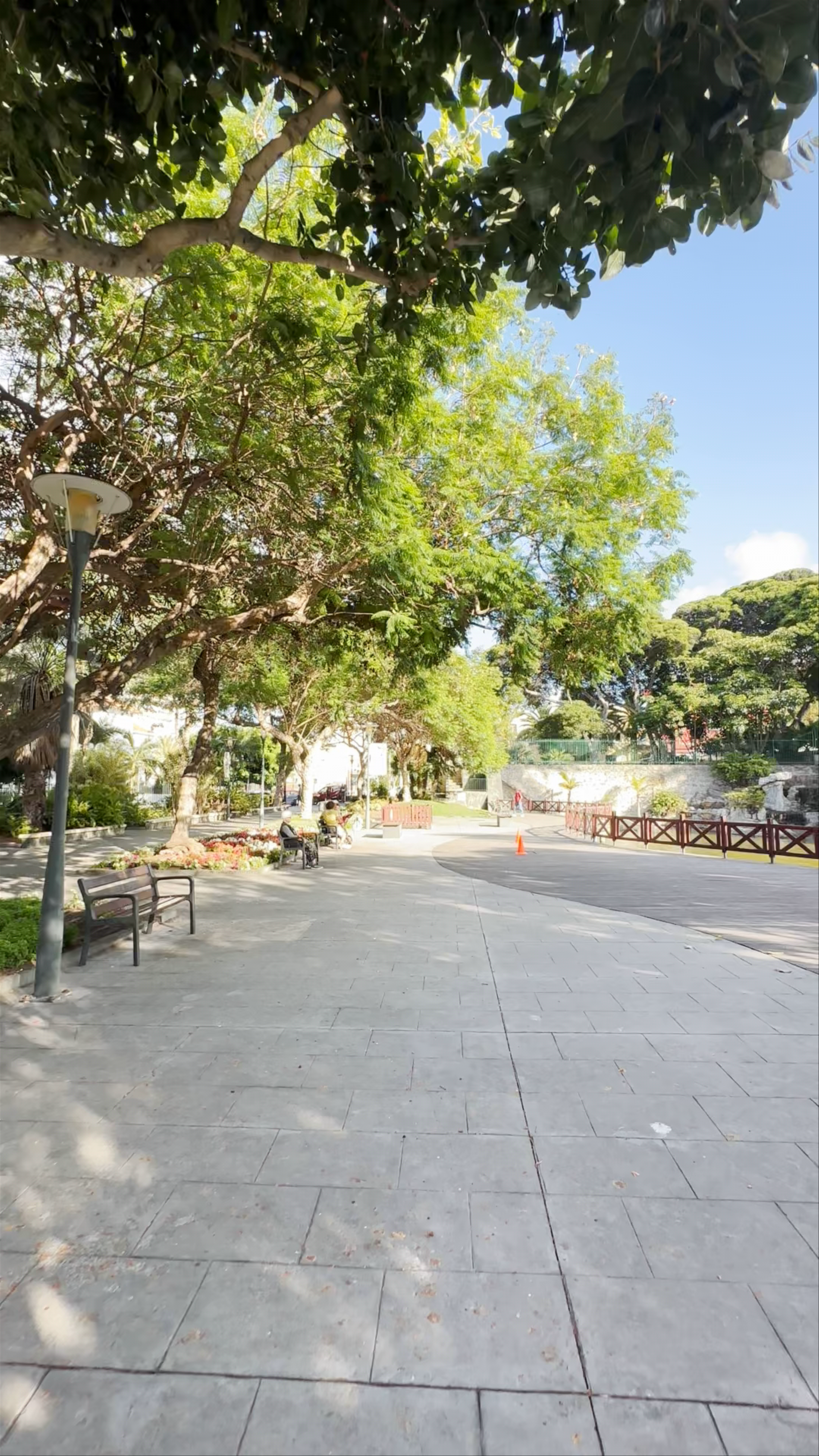 Parque Doramas
