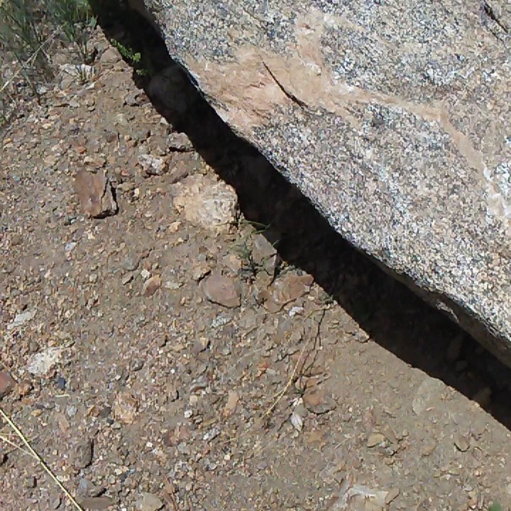Mt. Evans Wilderness - Mineral rich soil! - Hiking Near Me