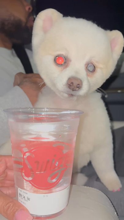 Swig - Barbie loves Swig - Desserts Near Me - Las Vegas, Nevada