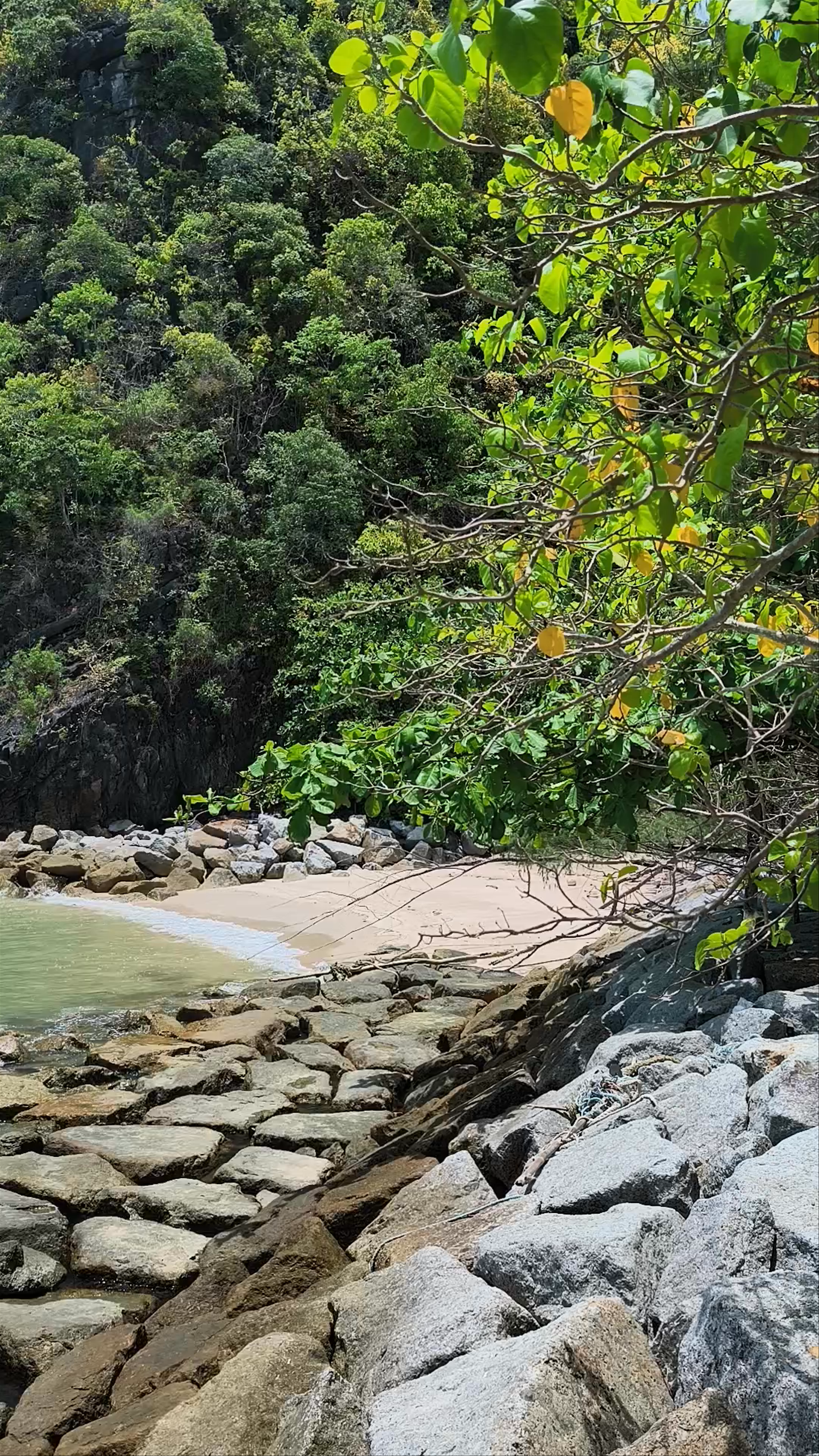Pantai Rekreasi Kastam (Oceanman)