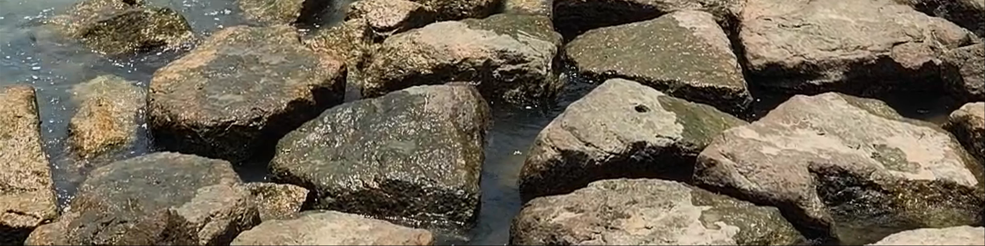 Pantai Rekreasi Kastam (Oceanman)