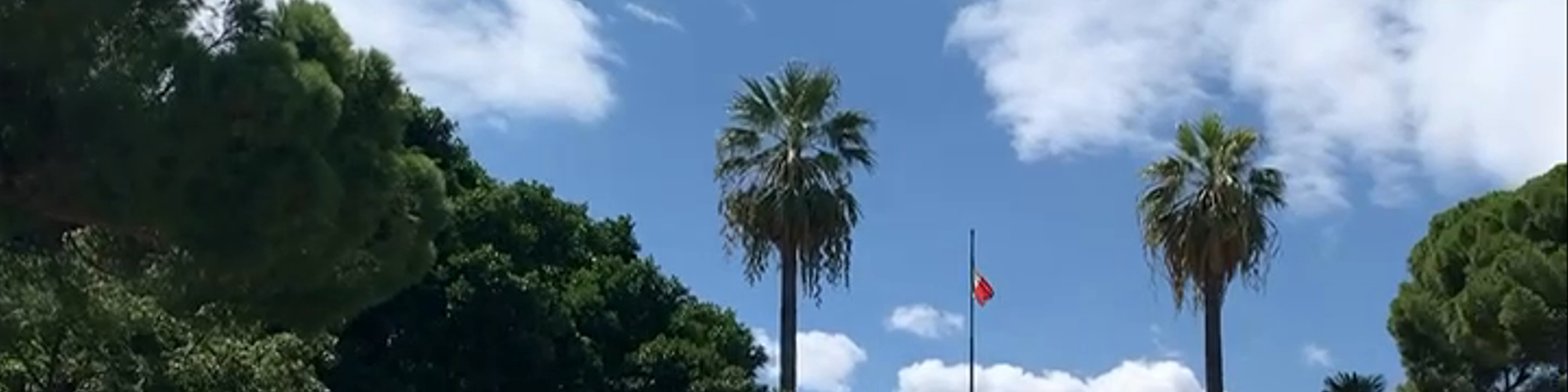 Catania