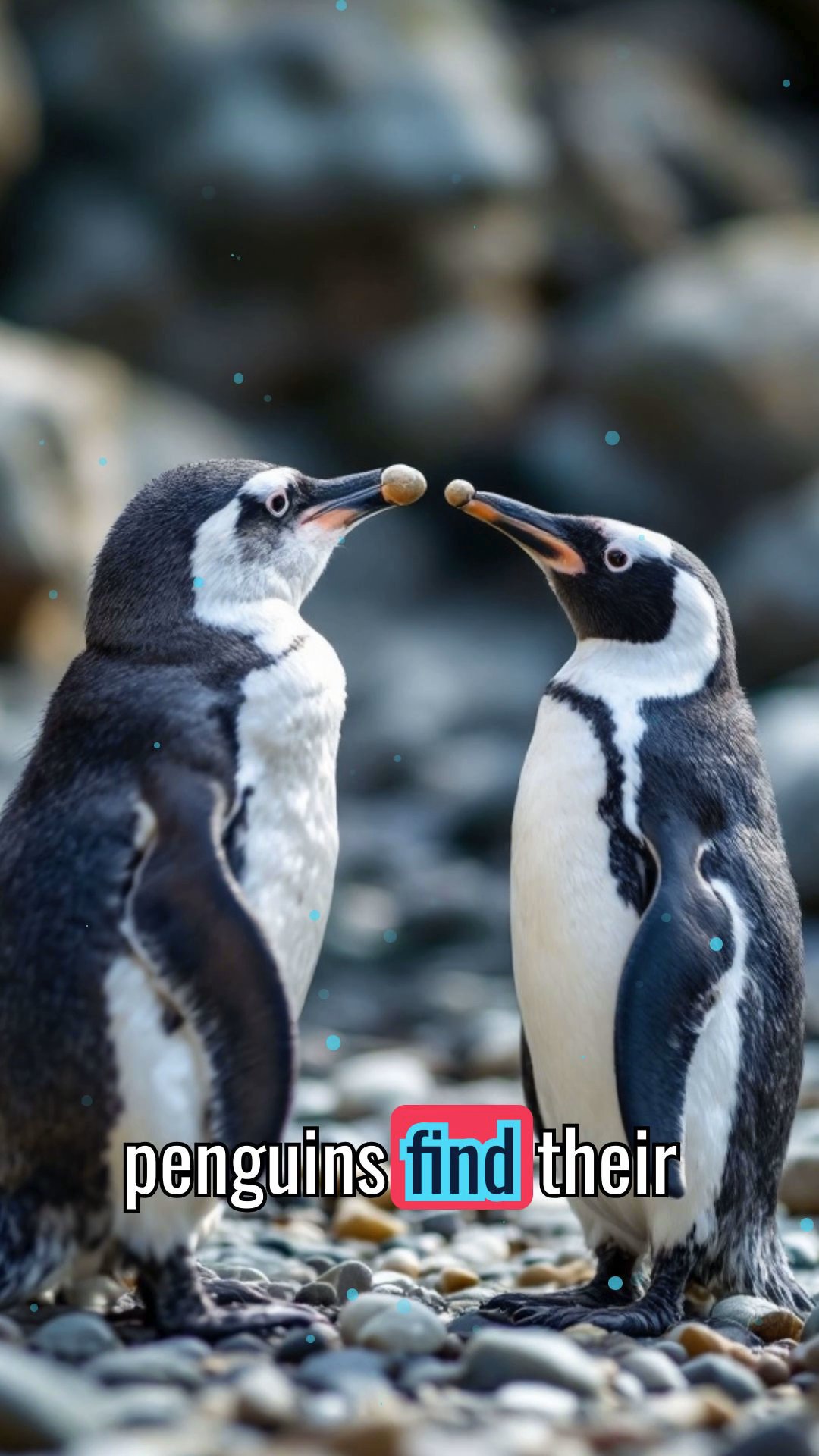 The Hidden Lives of Penguins: Love, Family, and Survival
