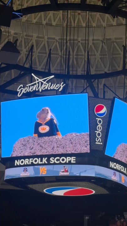 Norfolk Admirals - Professional Sports Teams Near Me - Norfolk, Virginia