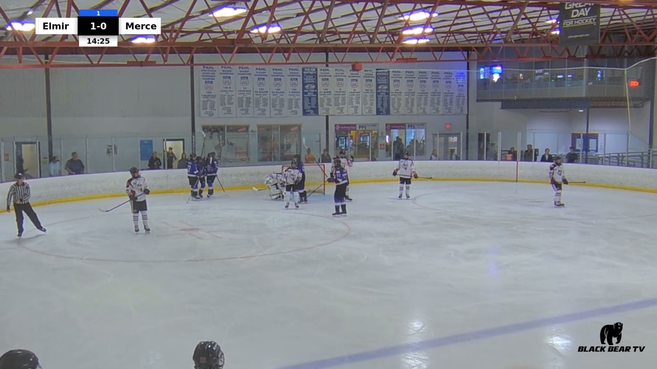 Noah Lebrun's Unforgettable Goals | Elmira Jr. Aviators 16U AAA Highlights