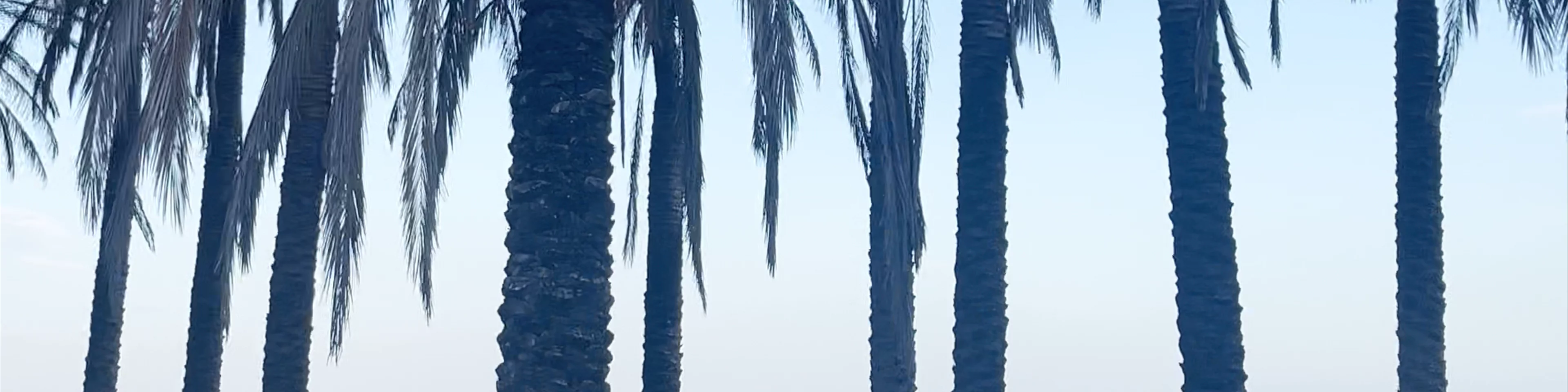 Playa Bajondillo