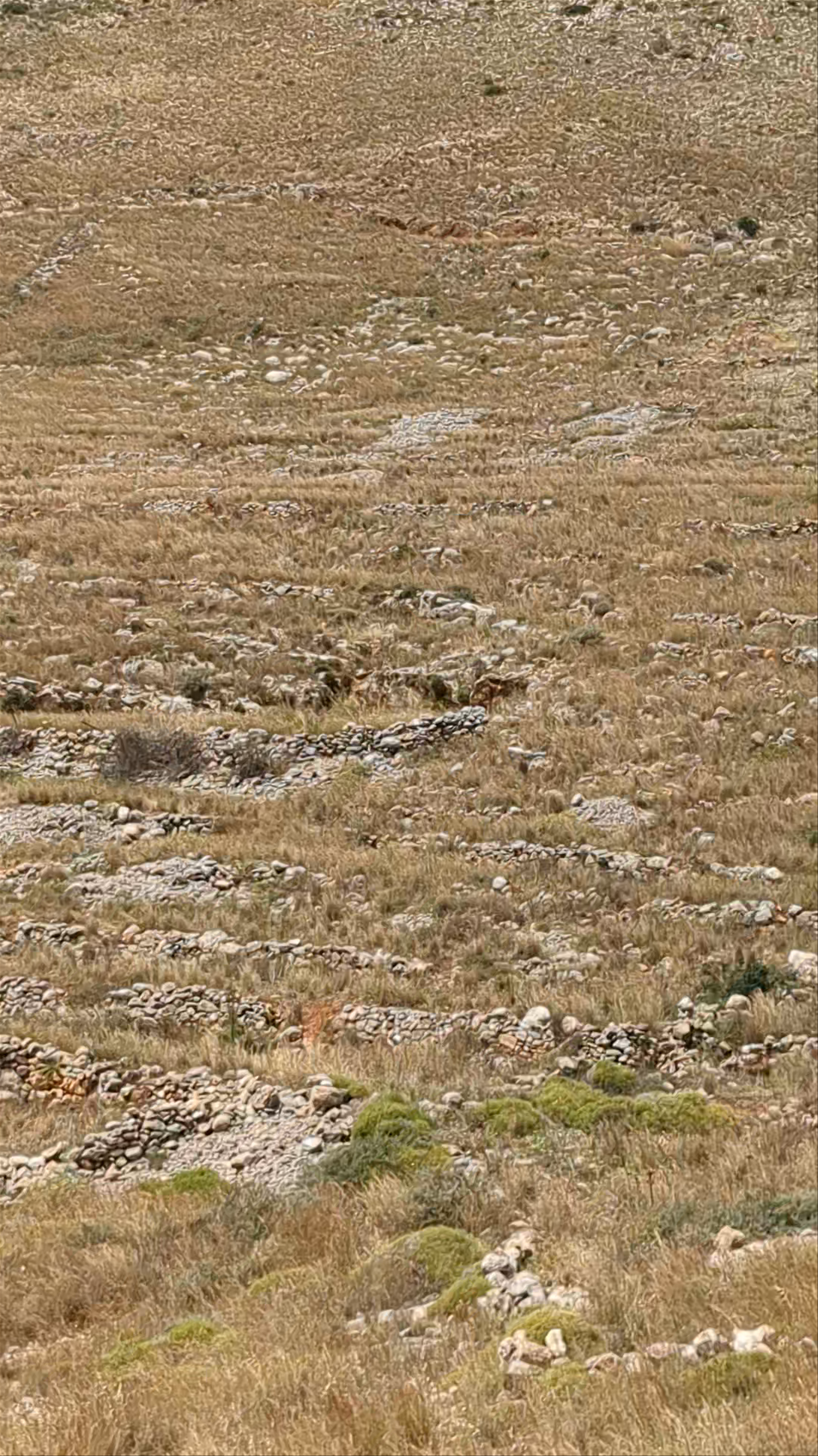 Archaeological Area Tainaro