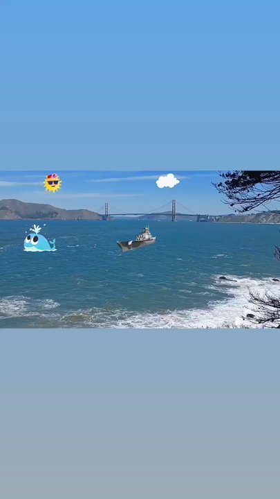 Video thumbnail 3 more videos