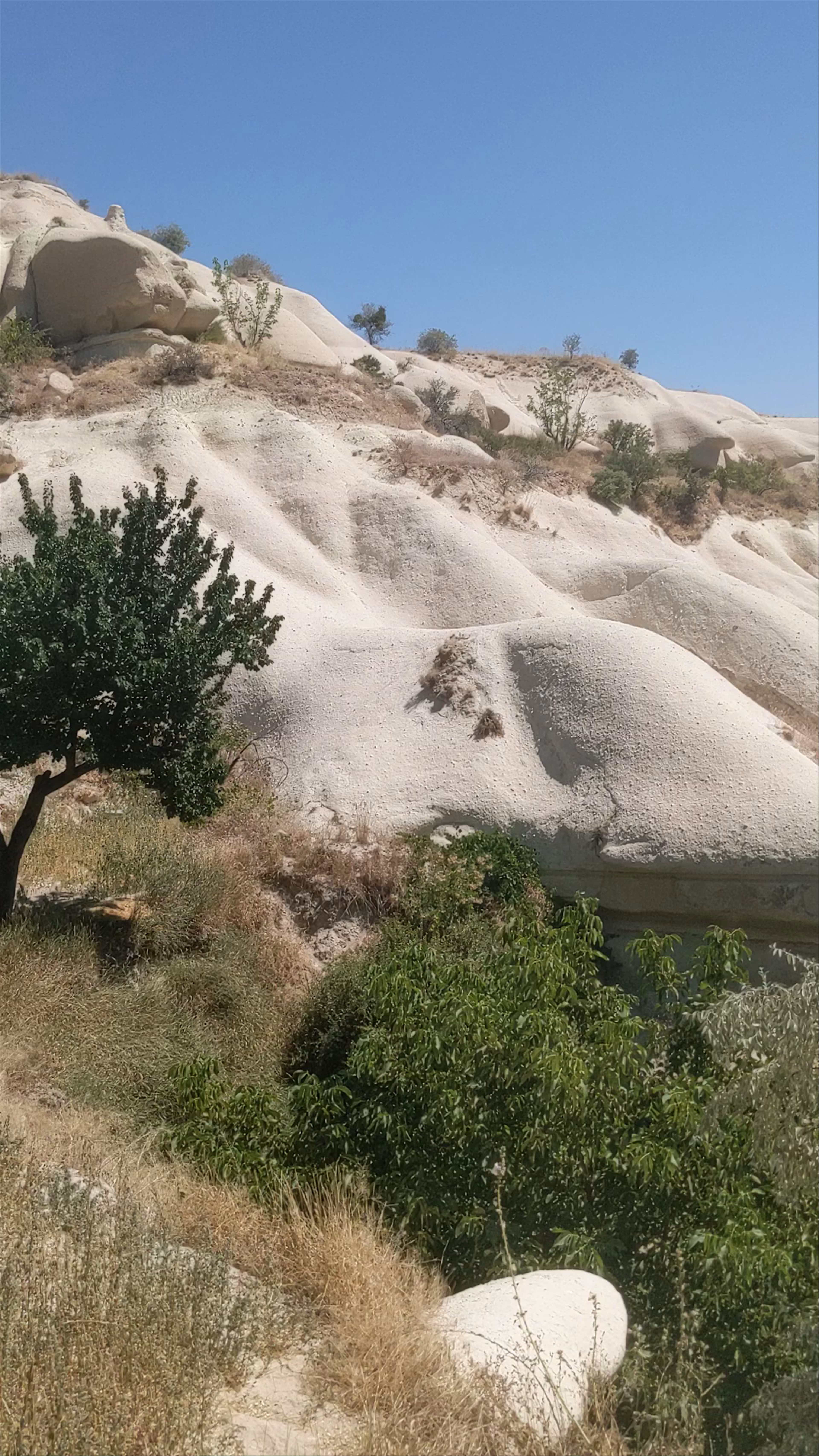 Tekelli