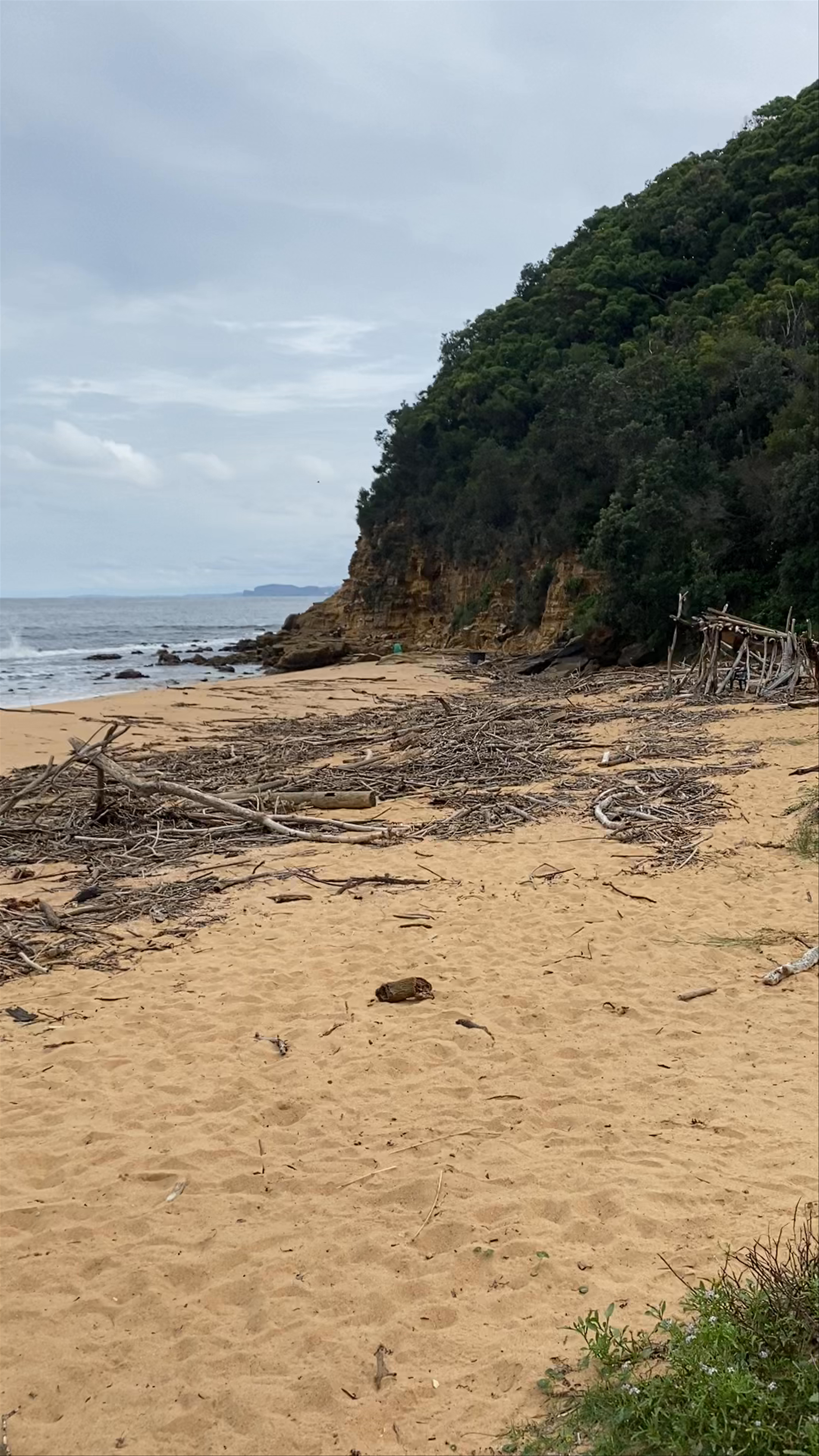 Maitland Bay Beach: Wild Coastal Escape in Bouddi National Park