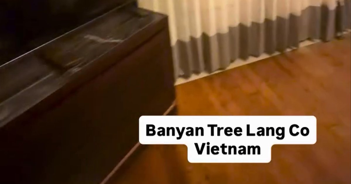 Banyan Tree Lang Co
