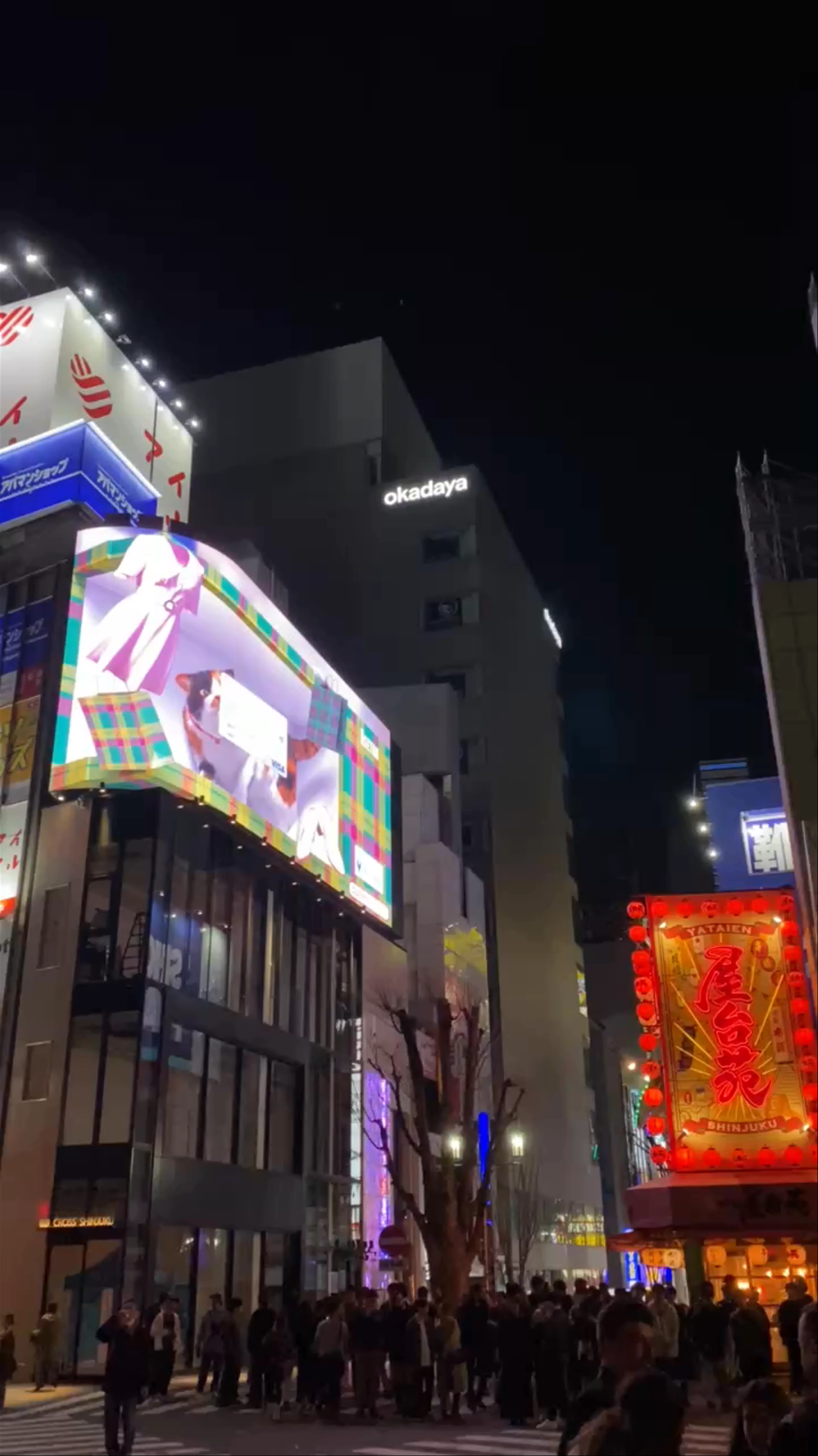 3D cat Cross Shinjuku Space