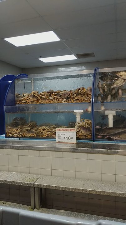 99 Ranch Market - Katy - Does get any fresh then this! - Seafood Markets Near Me - Katy, Texas