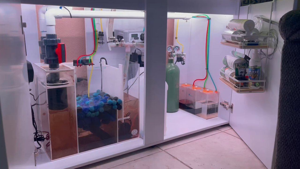 Trident’s Cove - Had Eli redo my sump and he made this edit for it. He took the time to deep clean it too and had the cool idea to put in LED lights! - Aquarium Services Near Me