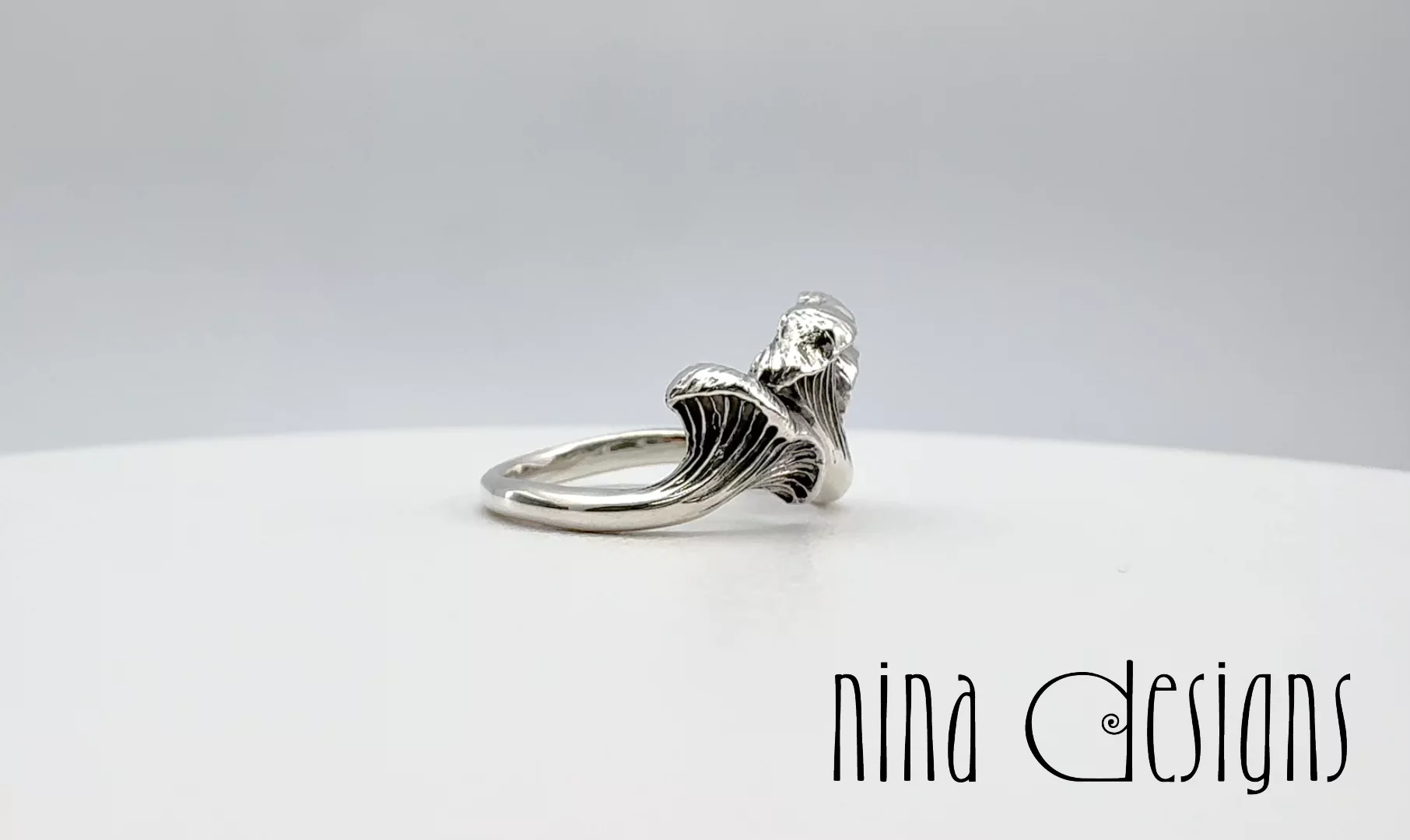 Preview image for video