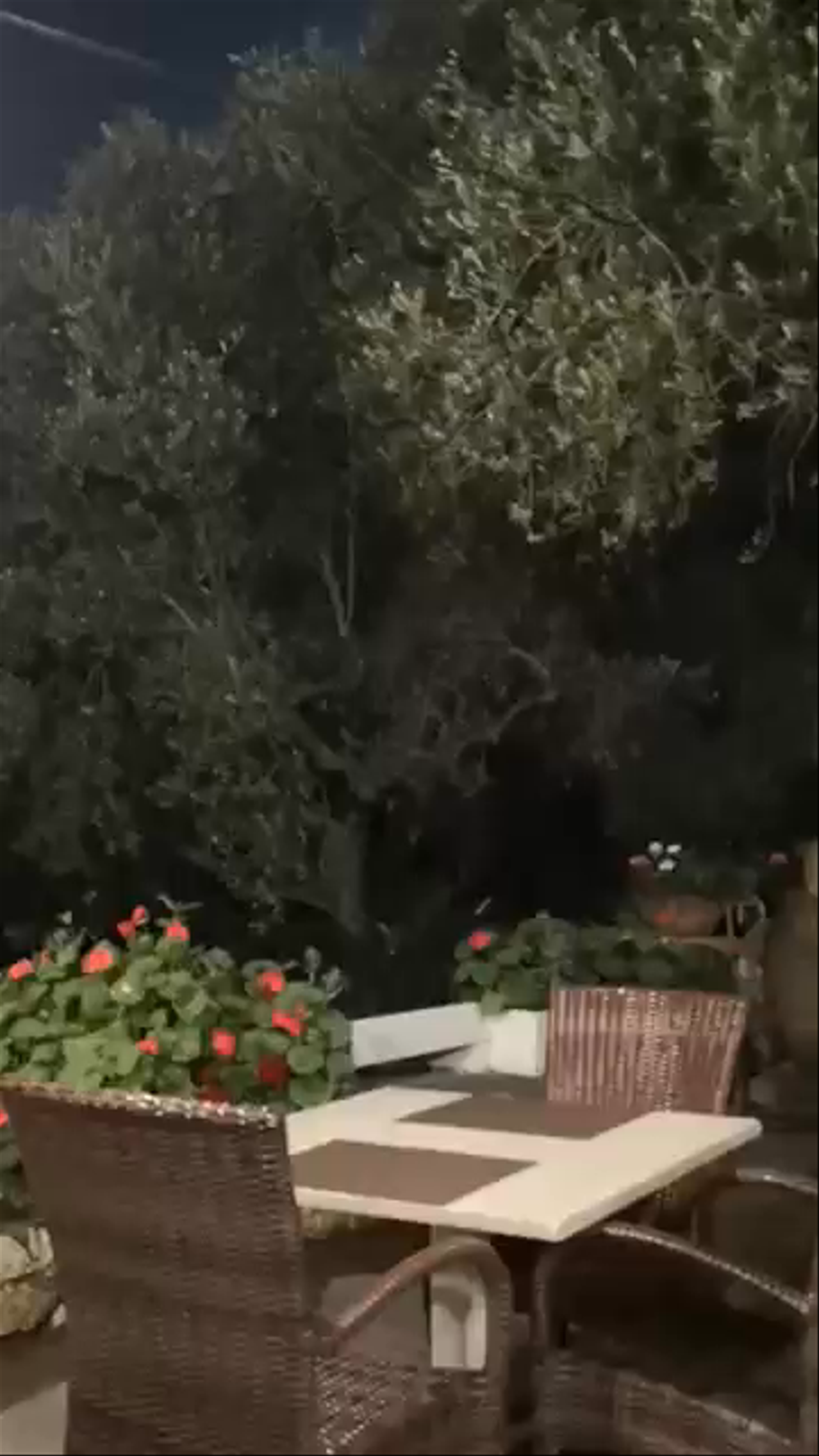 HOM - Hotel Orsa Maggiore