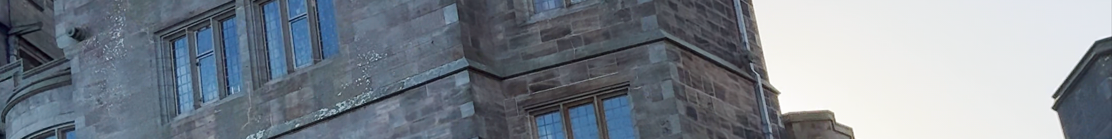 Tours & experiences in Bamburgh
