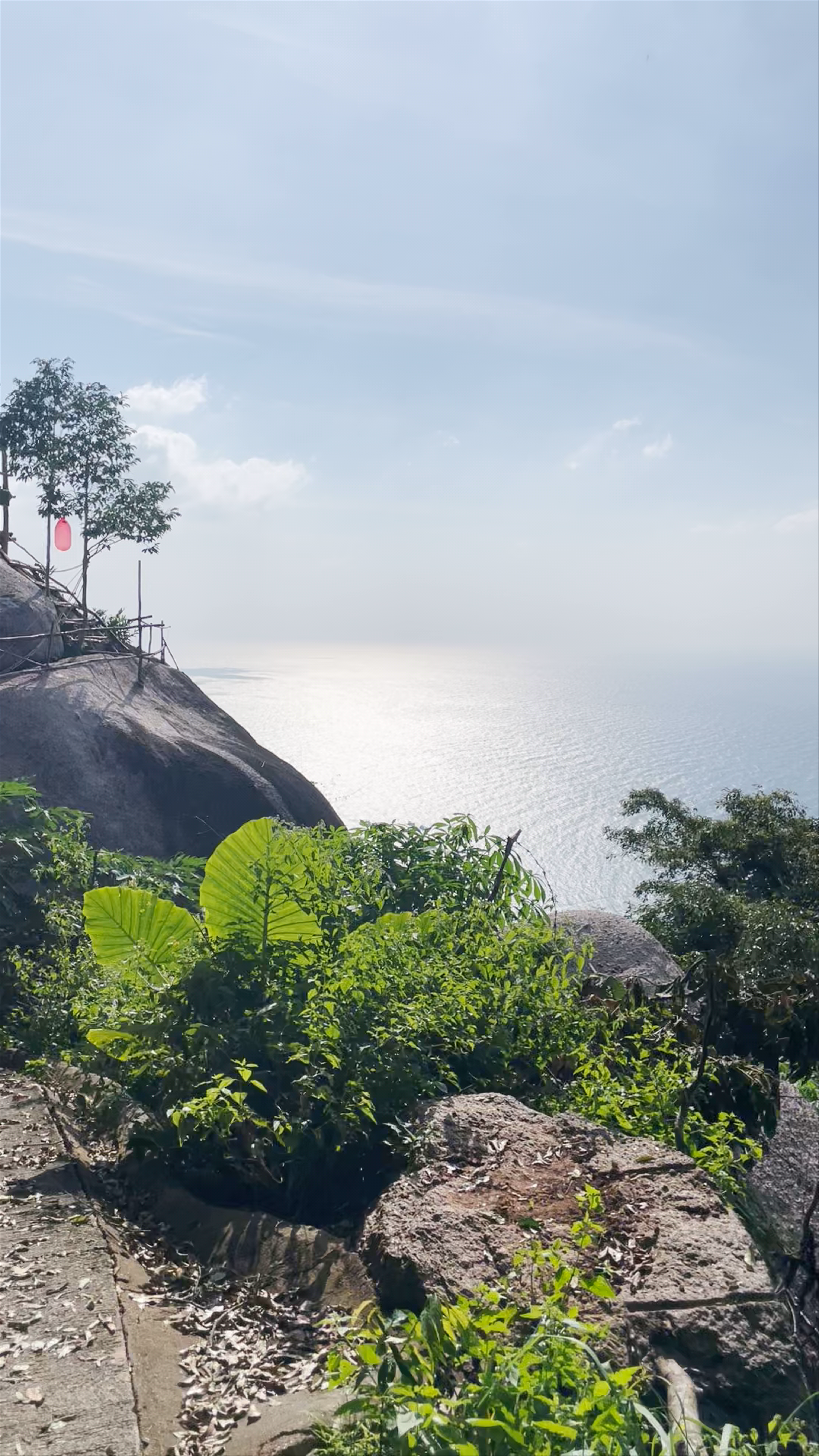 Top Point Koh Tao