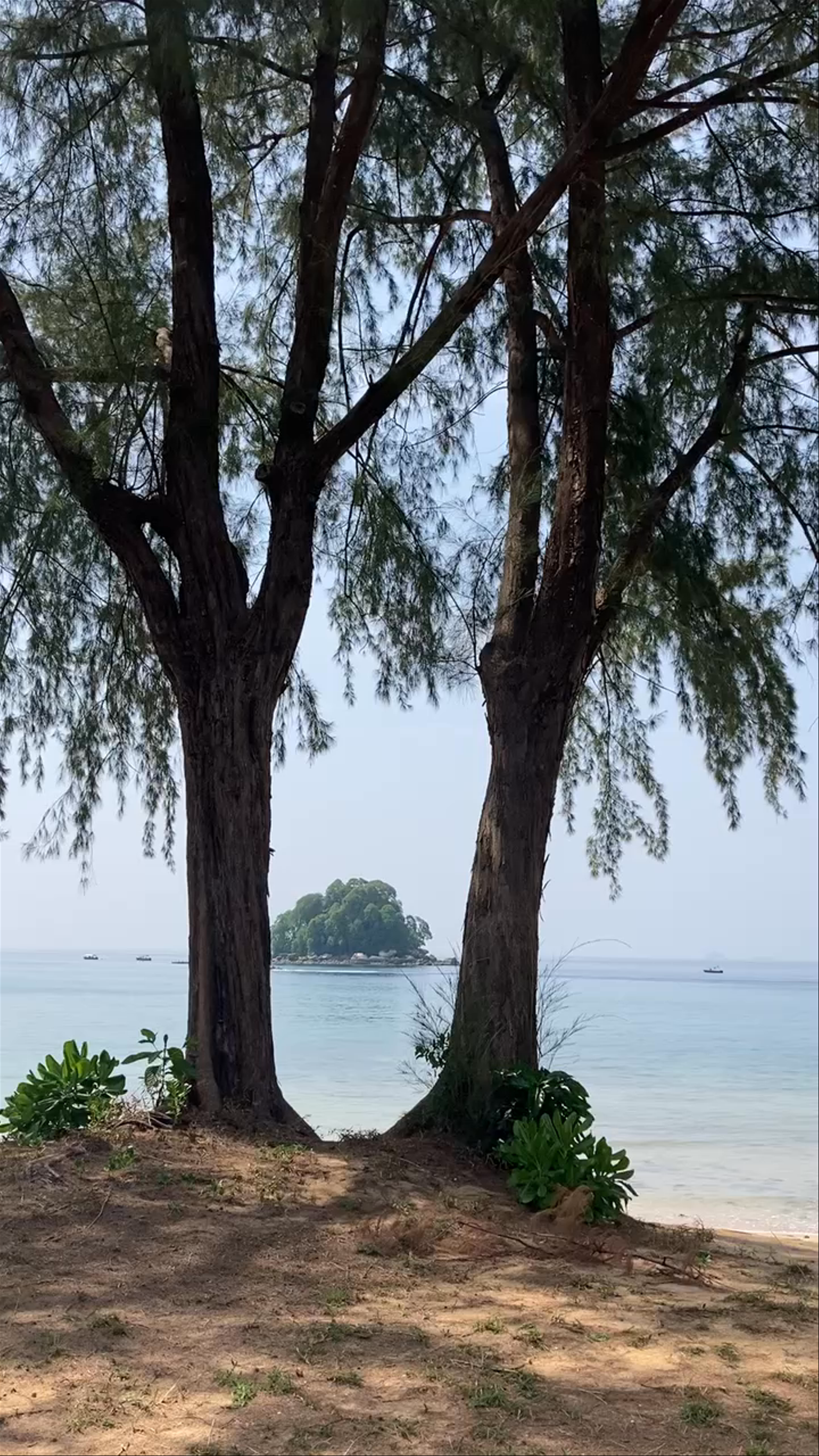 Pulau Renggis