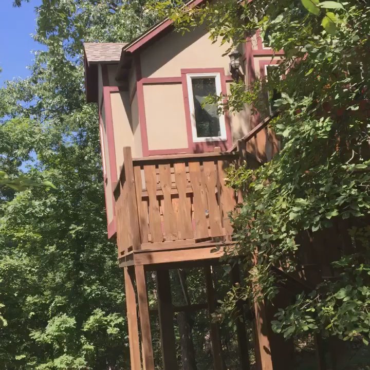 The Grand Treehouse Resort - The Grand Treehouse Resort. - Hotels Near Me - Eureka Springs, Arkansas