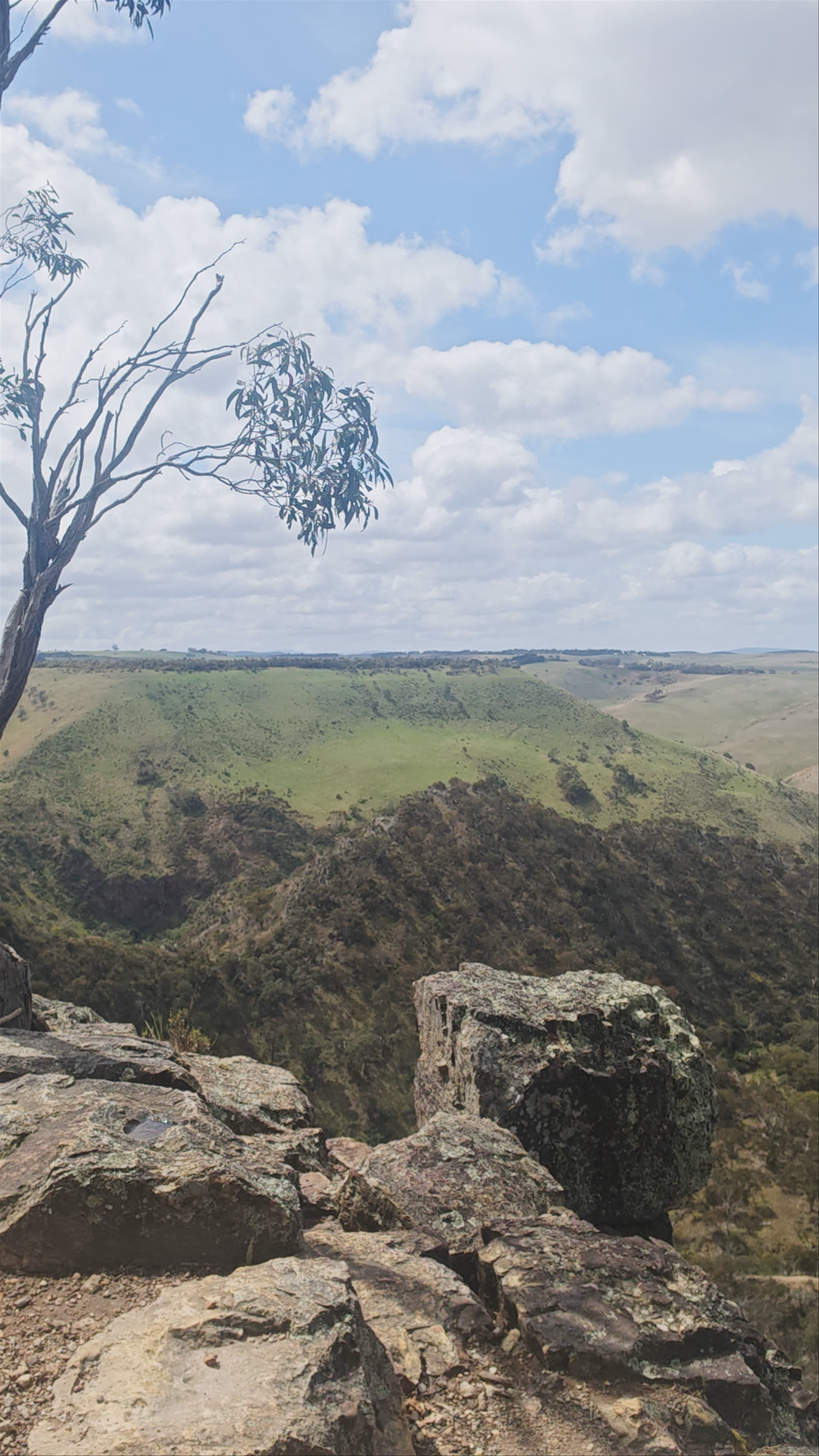 Falcon's Lookout