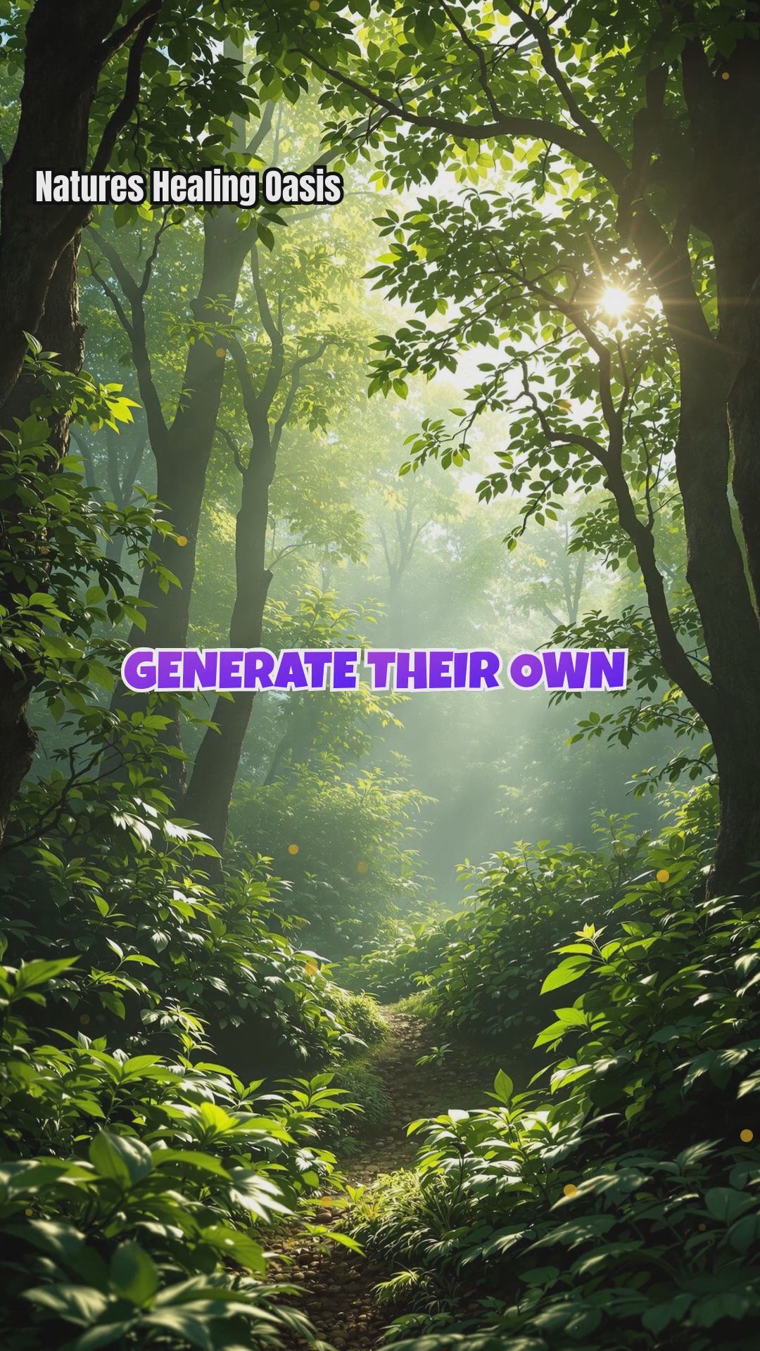 Do Trees Affect the Human Biofield Through EMF?