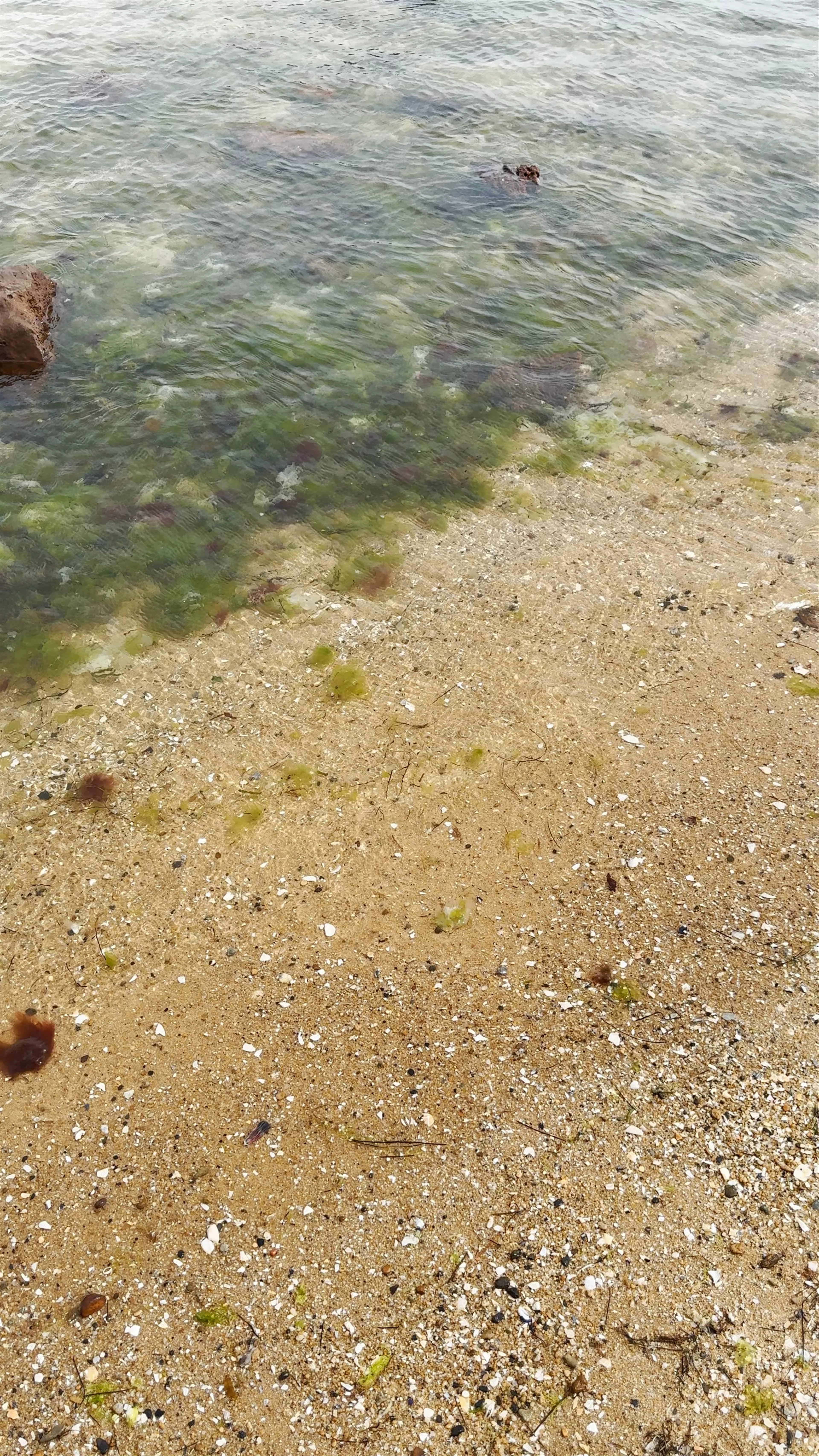 Brighton Beach