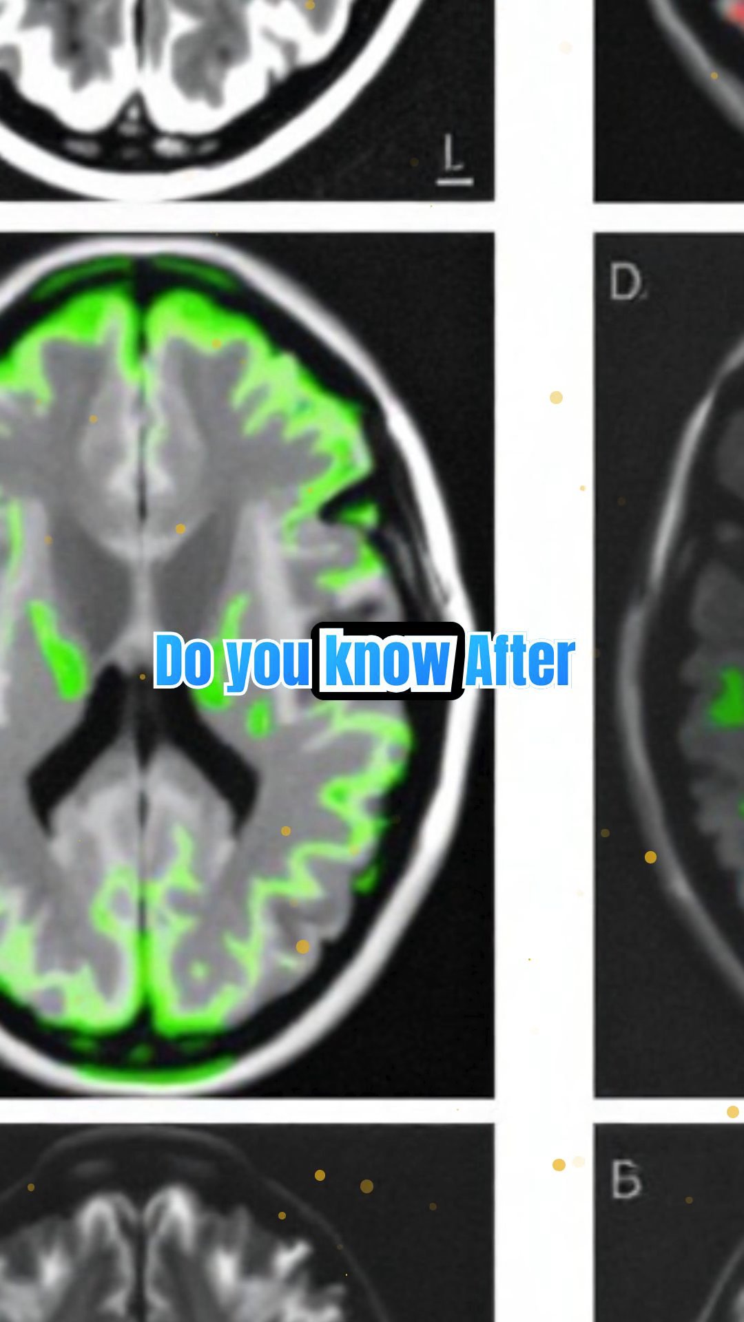 Strange Facts About Albert Einstein