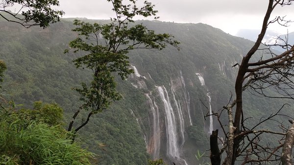 Photo of seven sisters fall