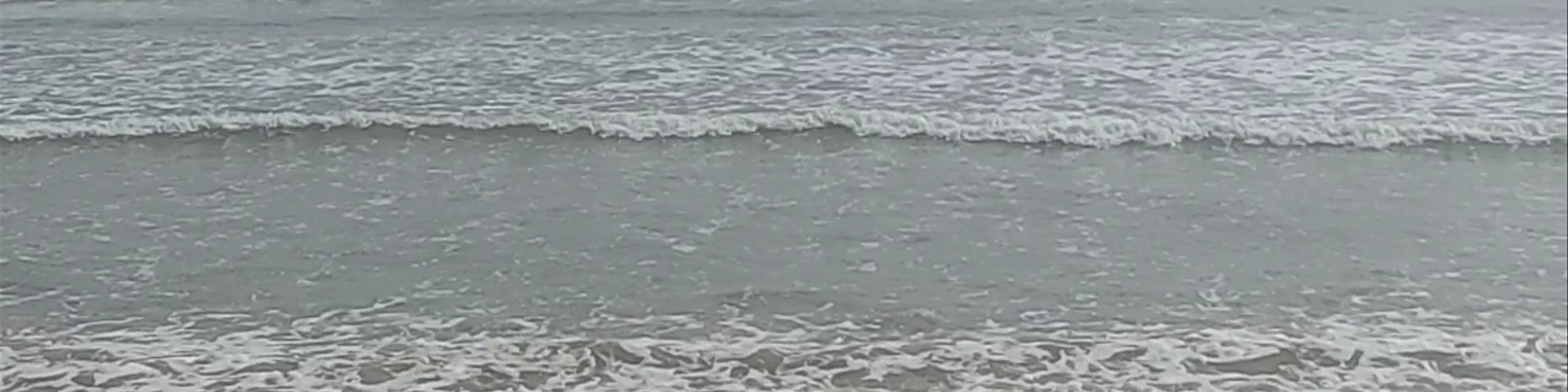 Weligama Beach