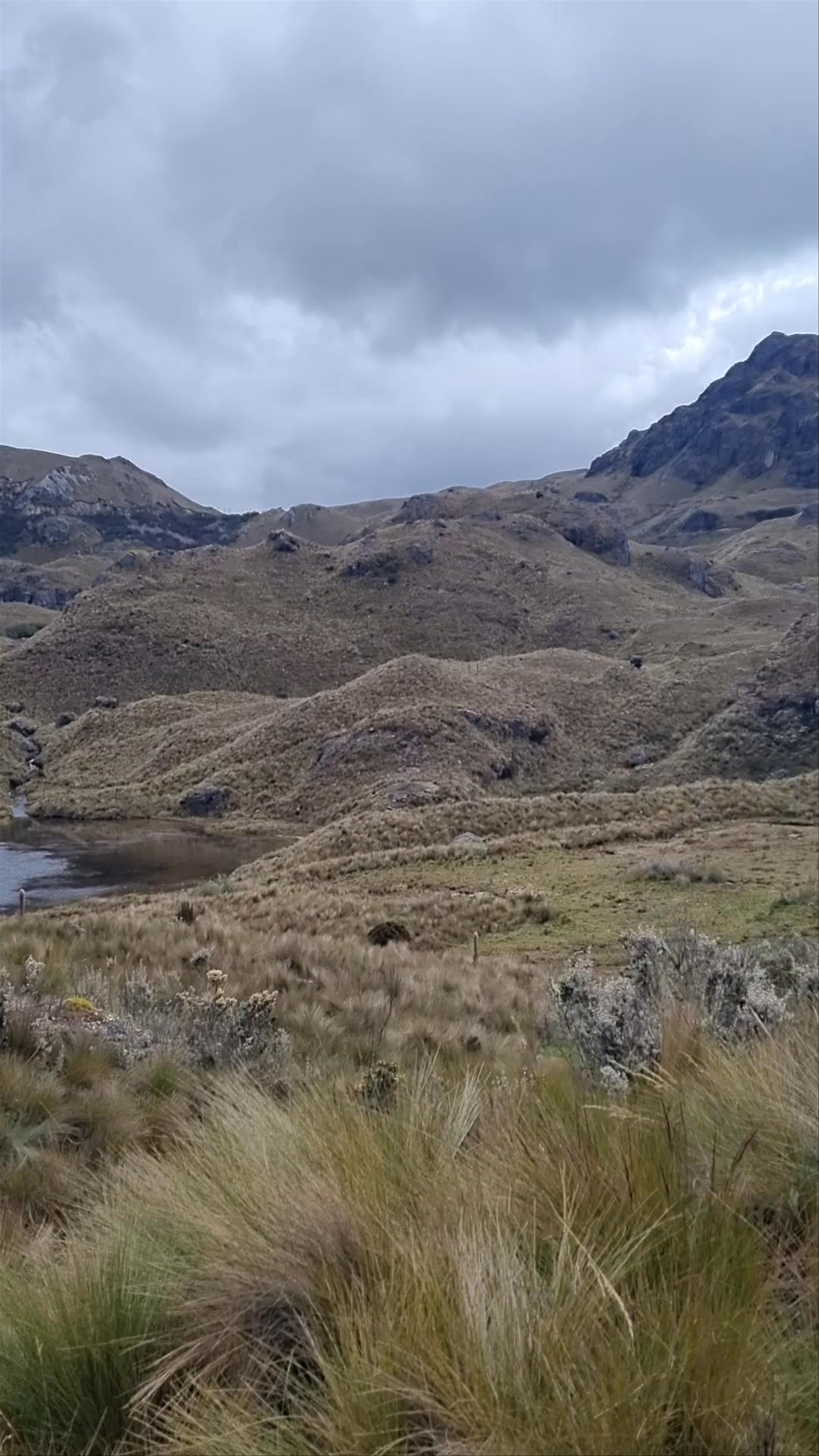 Exploring Parque Nacional Cajas: Ecuador’s Highland Wilderness