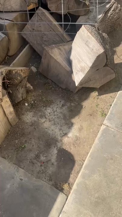 Pablo’s Landscaping Services - Landscaping Near Me