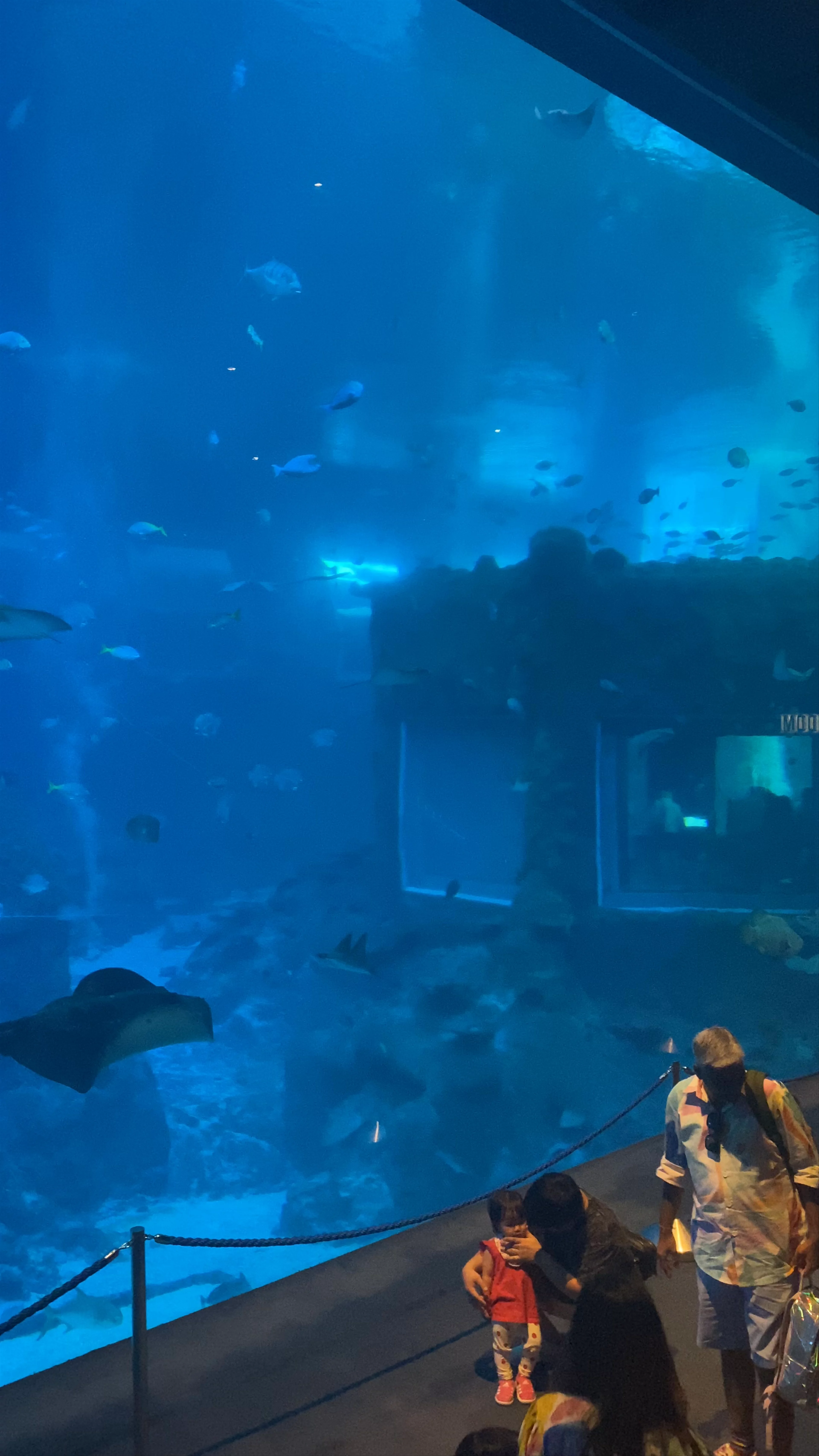 S.E.A. Aquarium