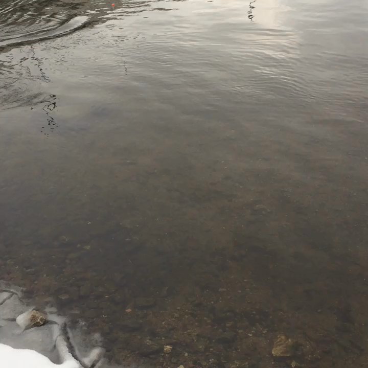 Robert C Beutter Park - derp - Parks Near Me - Mishawaka, Indiana