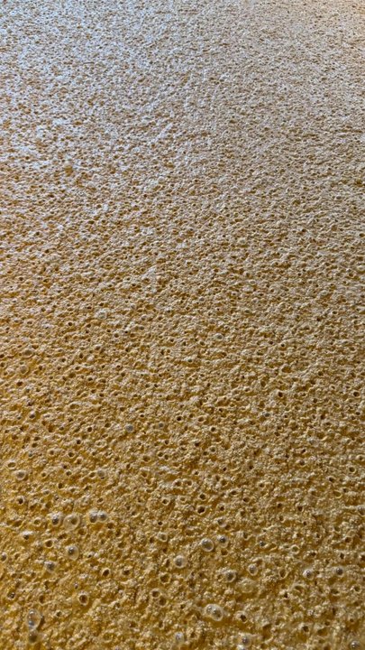 Kentucky Guides - Active fermentation in mash at Woodford Reserve - Historical Tours Near Me