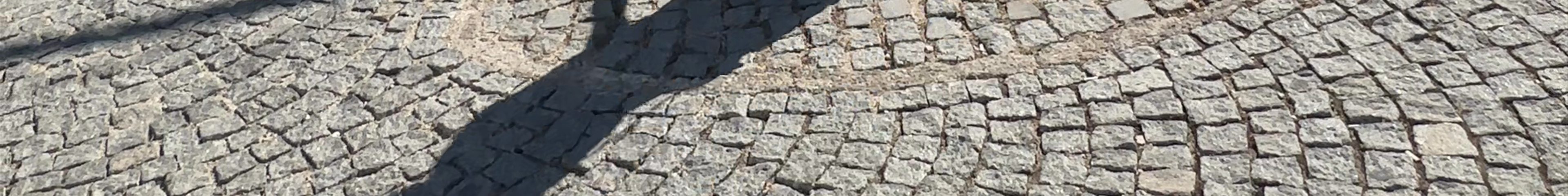 Tours & experiences in Alaçatı