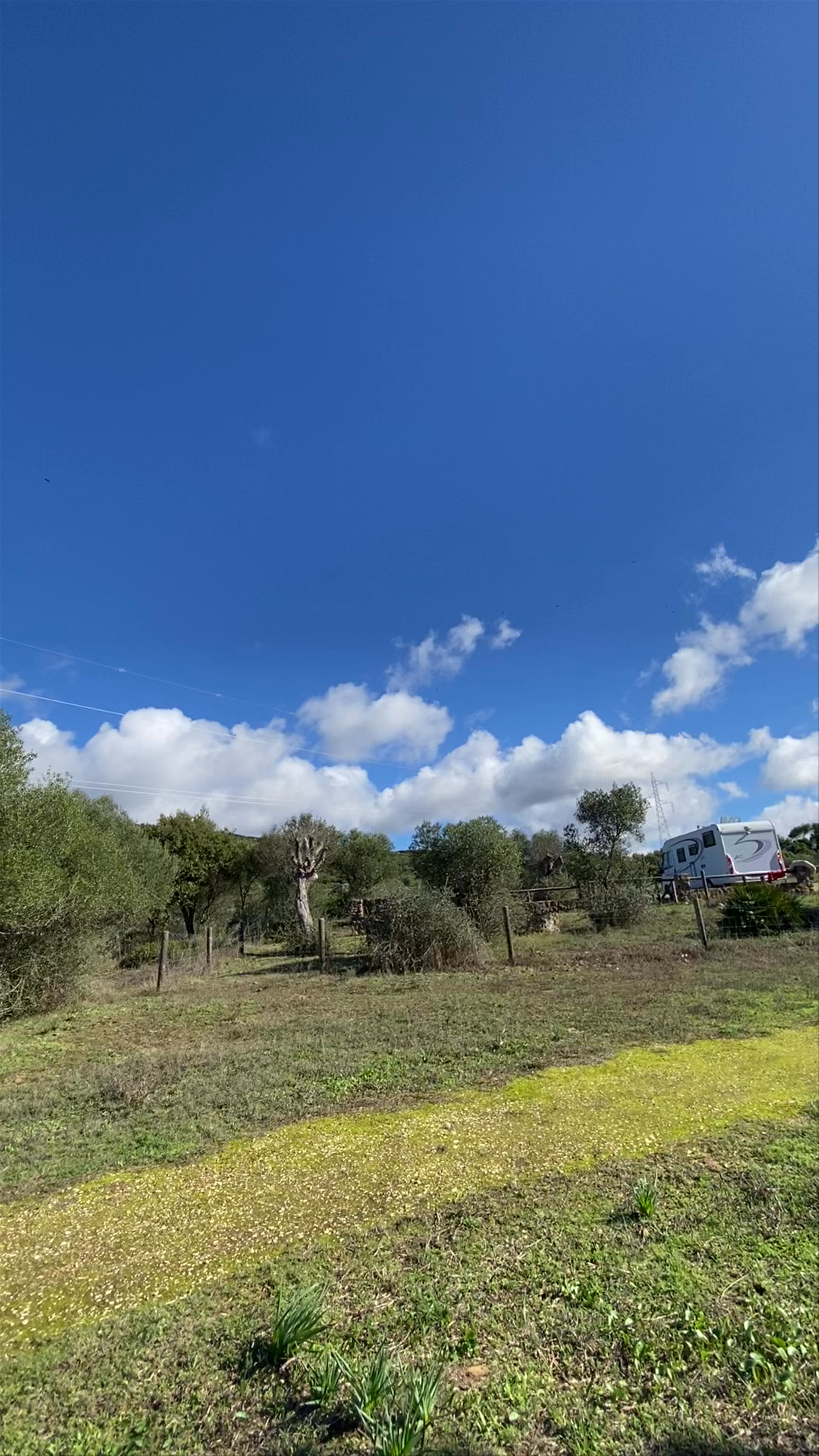 Área Recreativa El Celemín